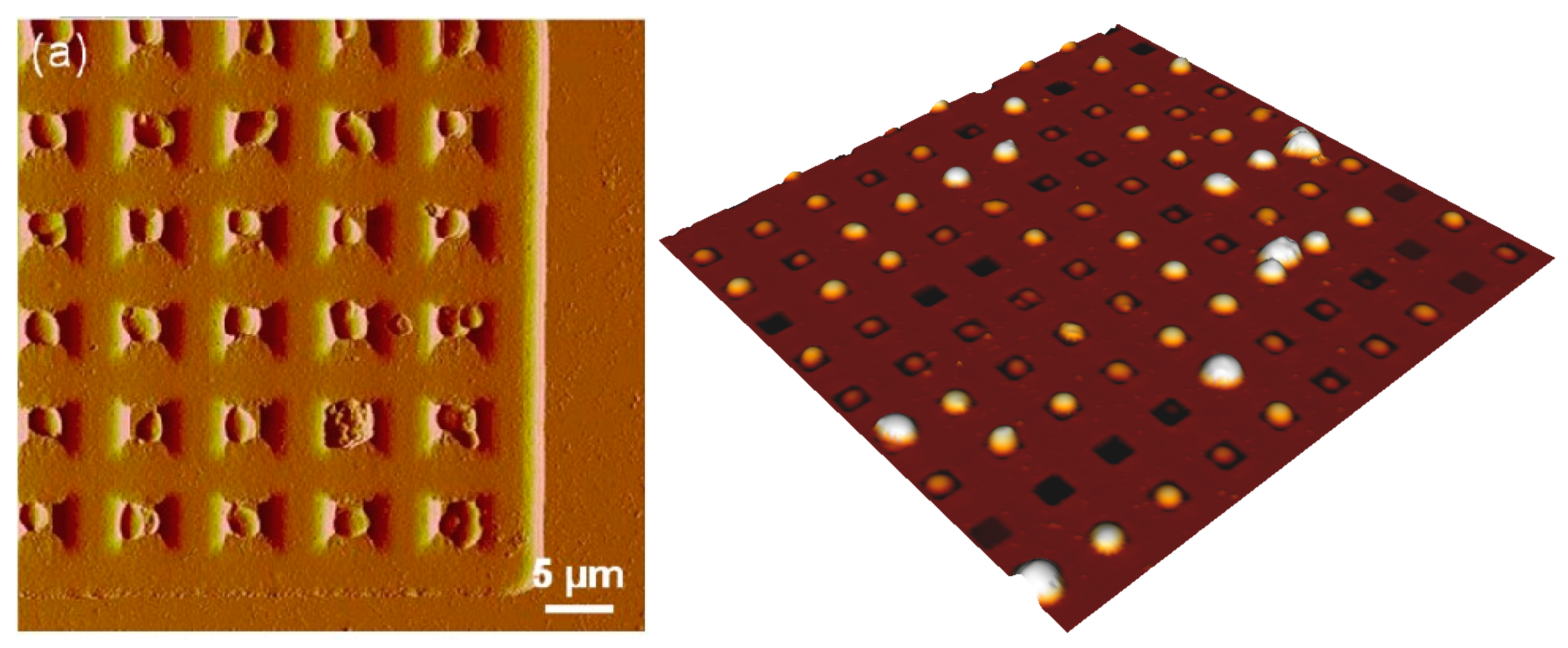 Micromachines 08 00347 g010