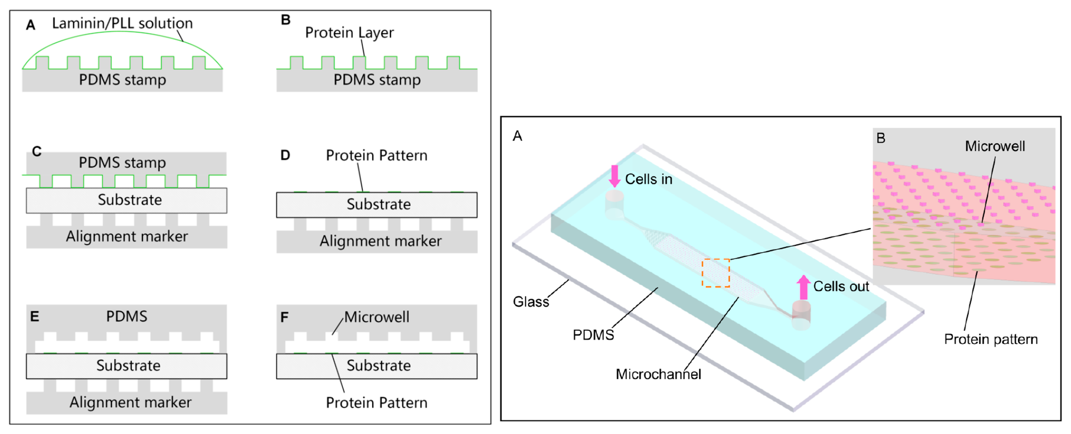 Micromachines 08 00347 g011