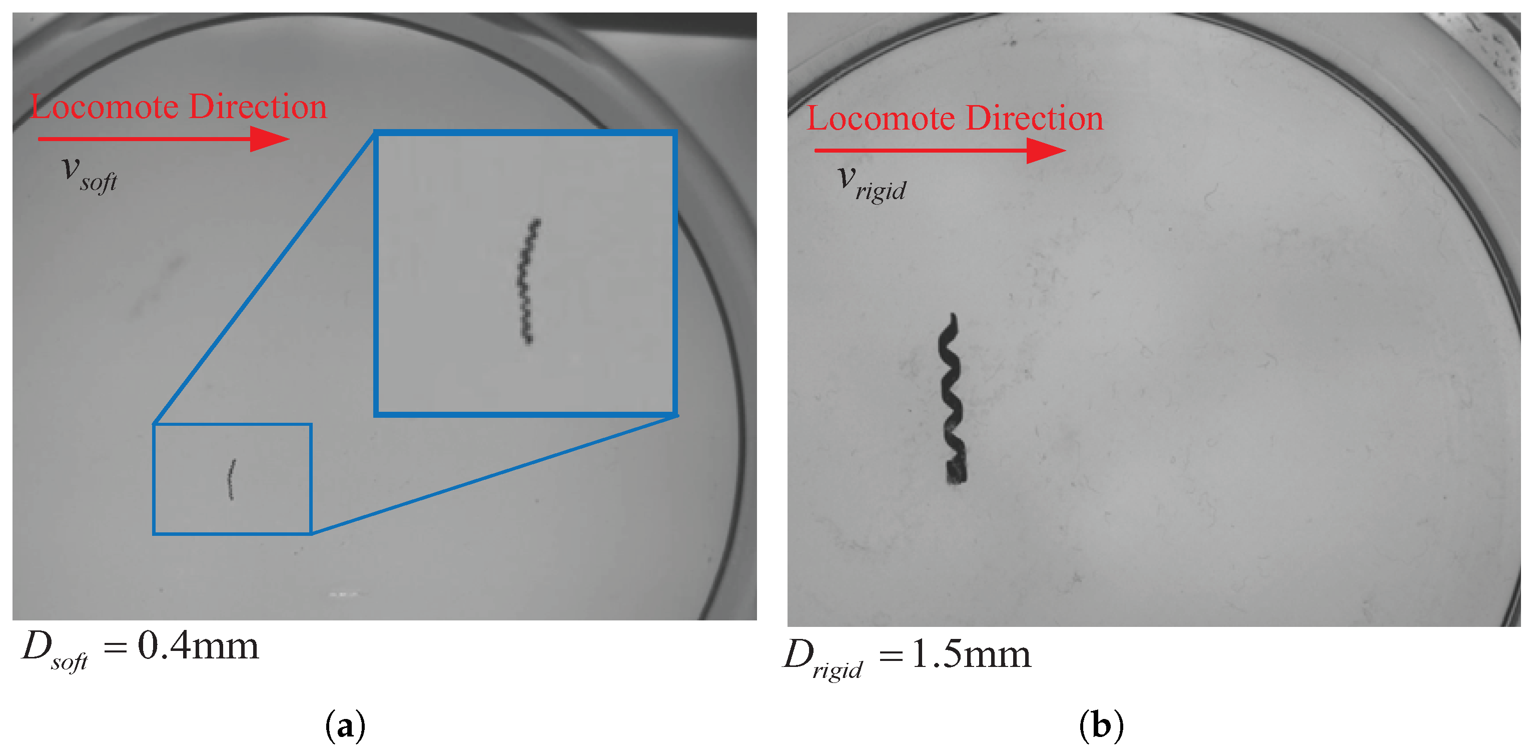 Micromachines 08 00349 g014