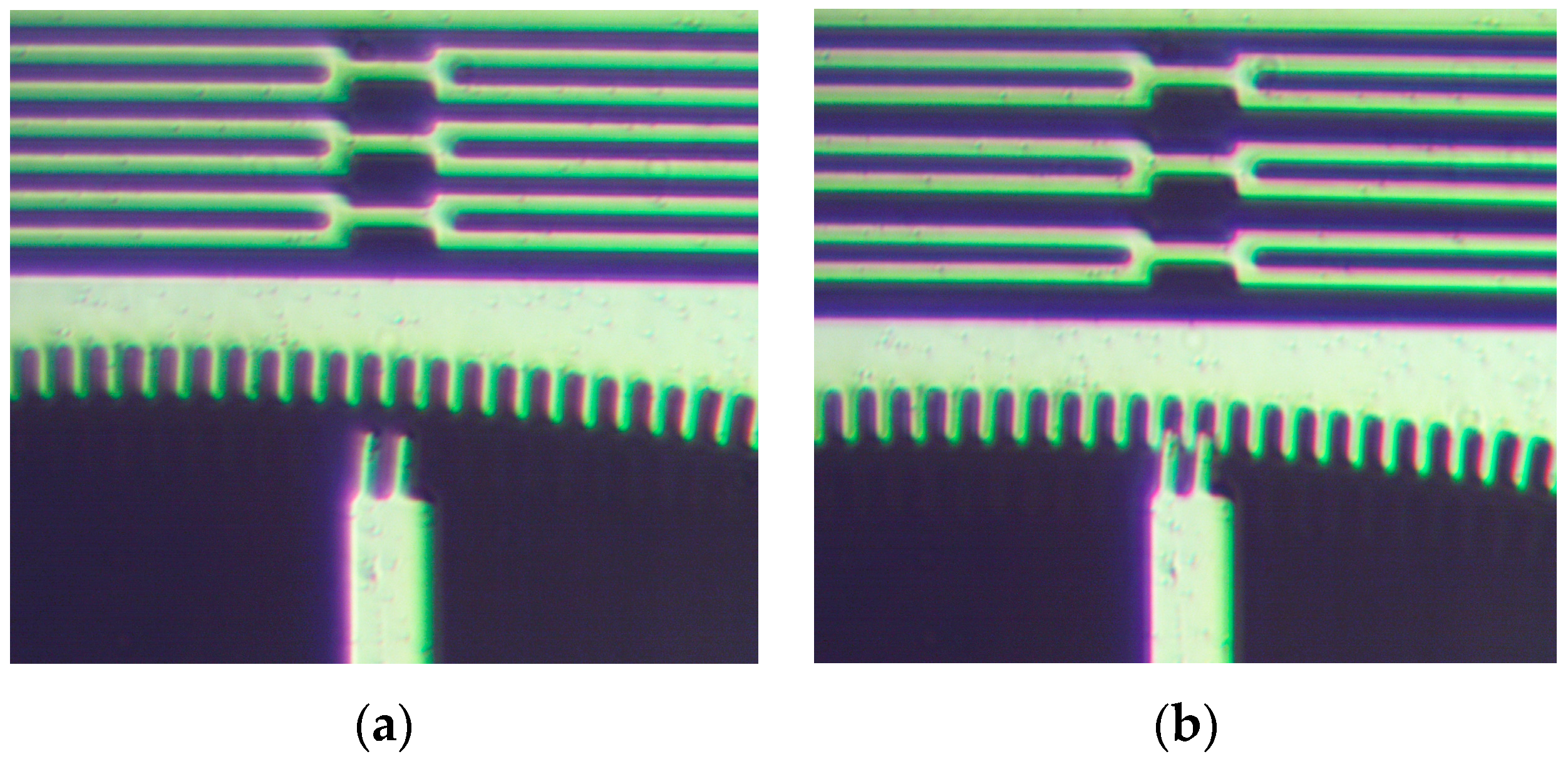 Micromachines 08 00354 g013