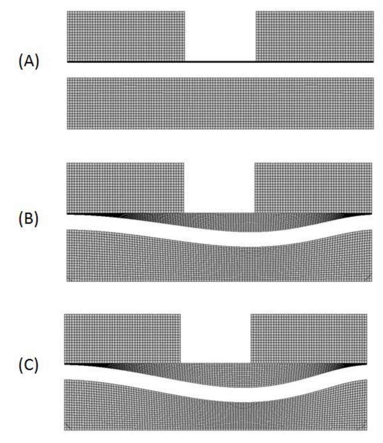 Micromachines 08 00355 g005