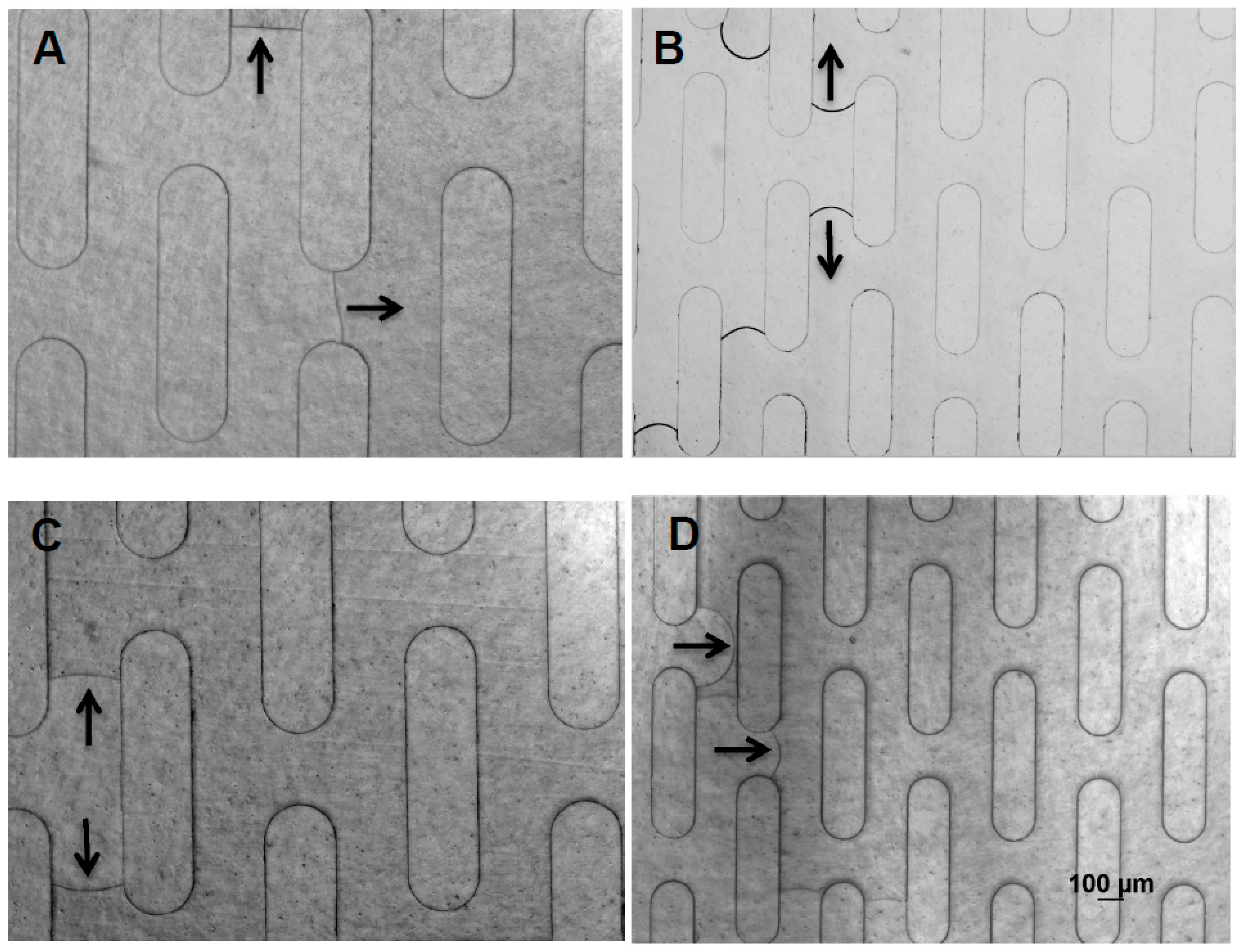 Micromachines 08 00367 g003