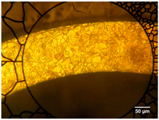 Micromachines 09 00004 i002