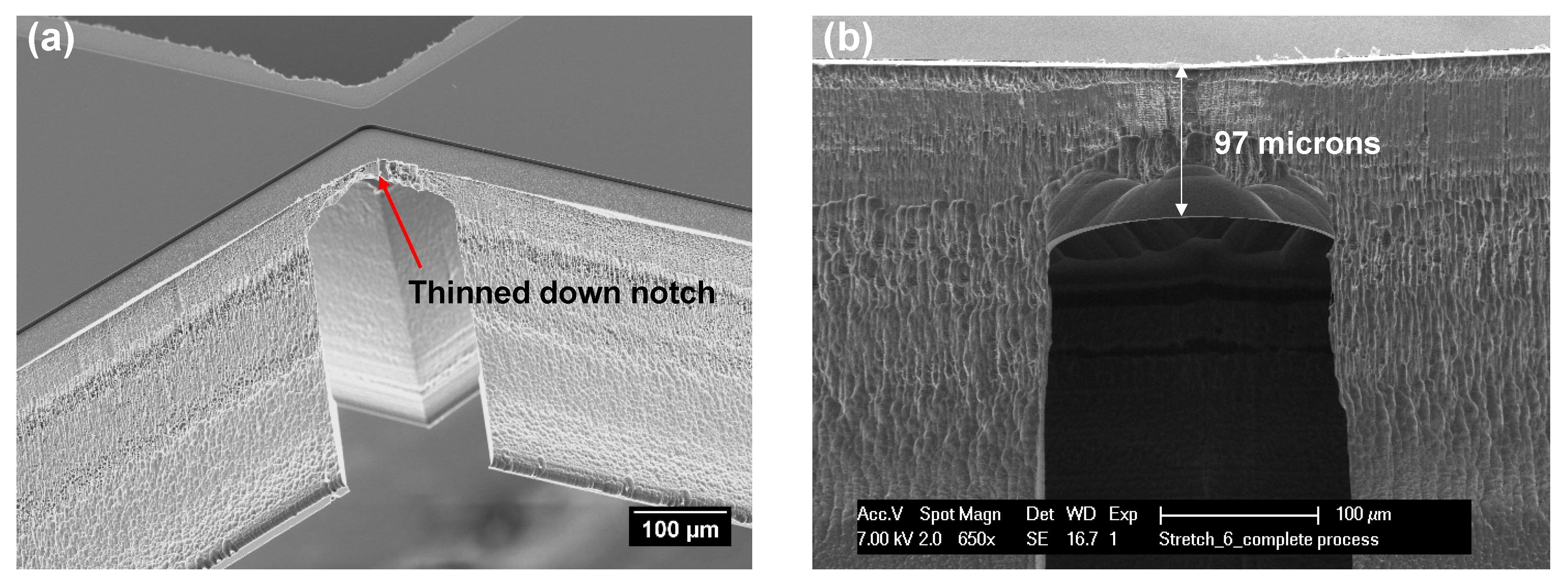 Micromachines 09 00039 g005
