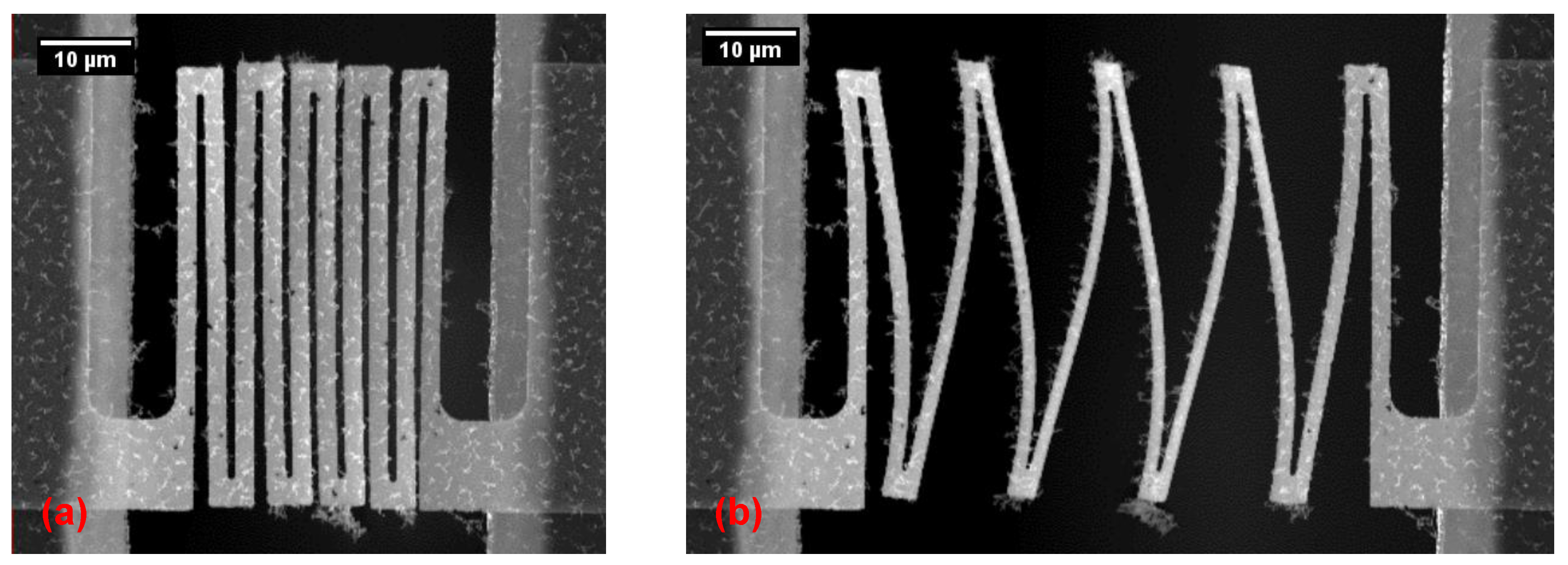Micromachines 09 00039 g009