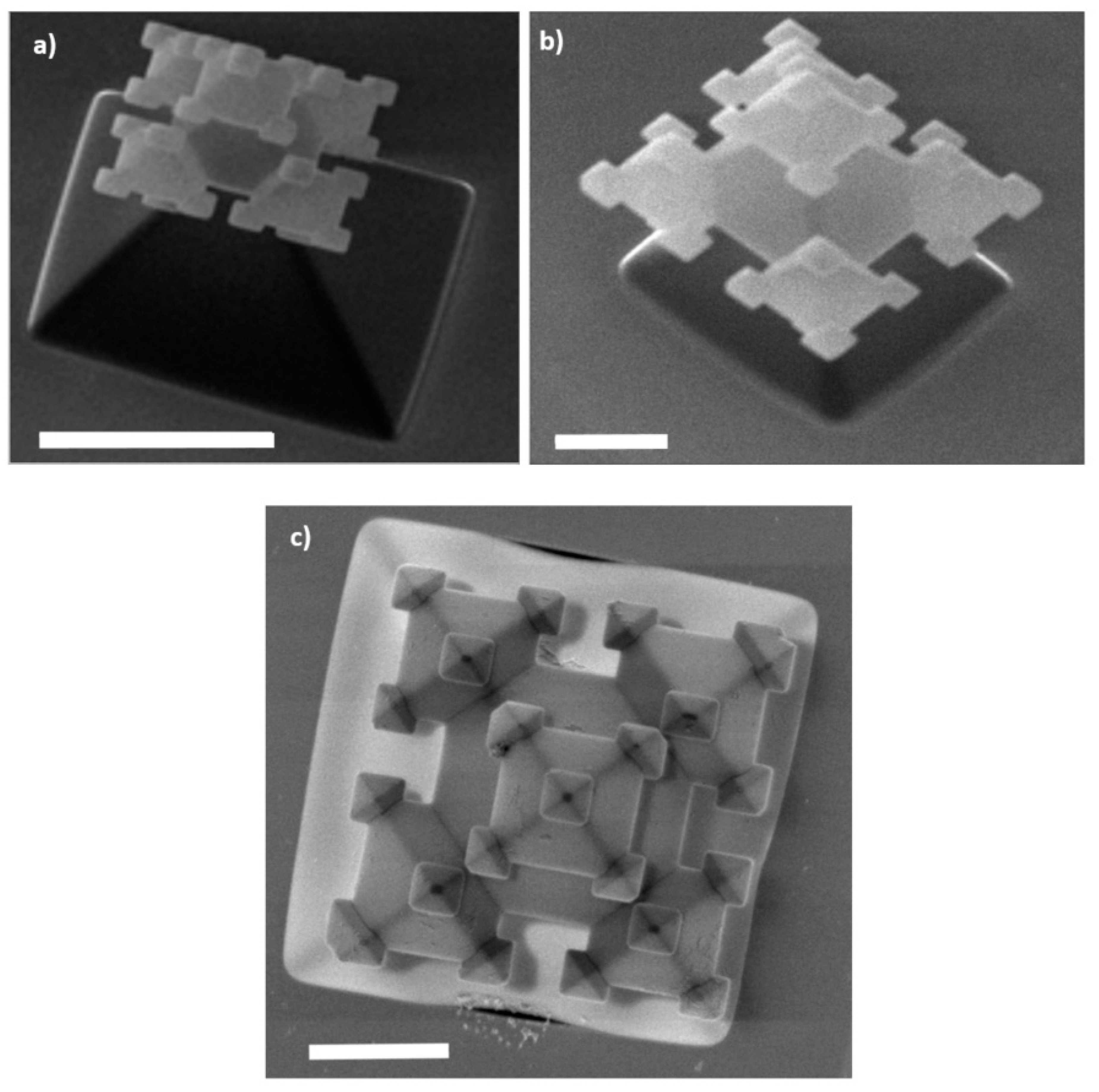 Micromachines 09 00045 g004