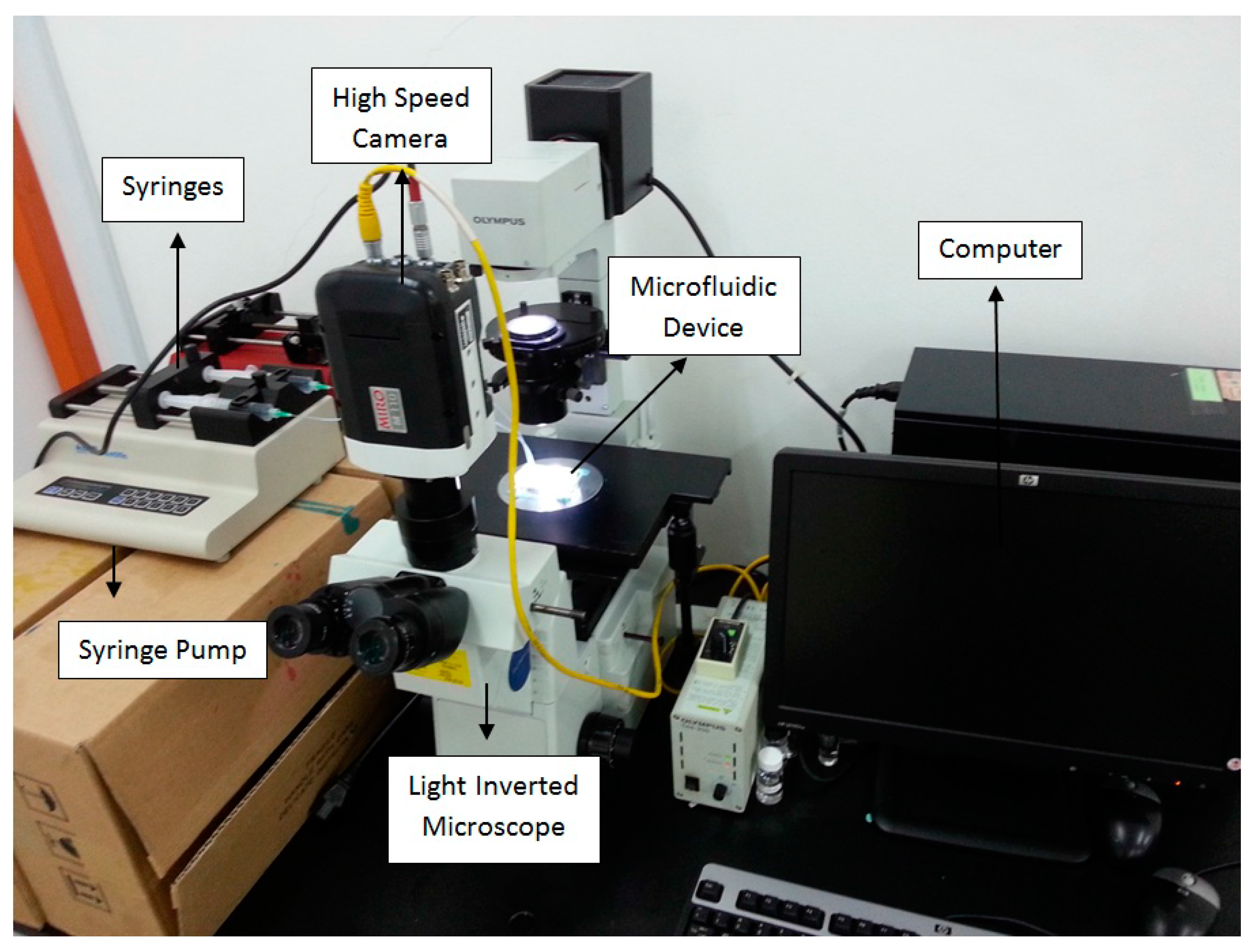 Micromachines 09 00057 g004