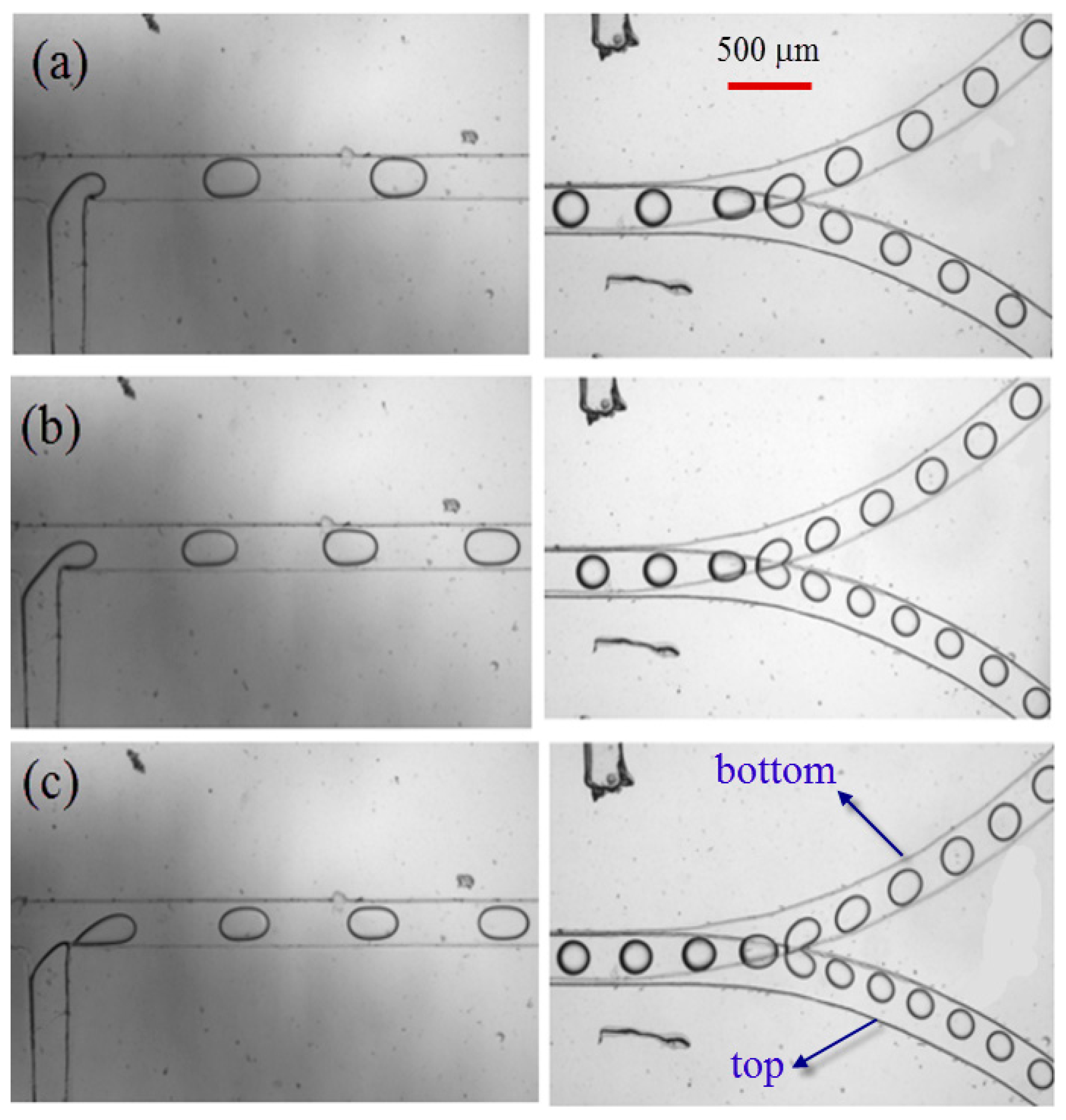 Micromachines 09 00057 g009