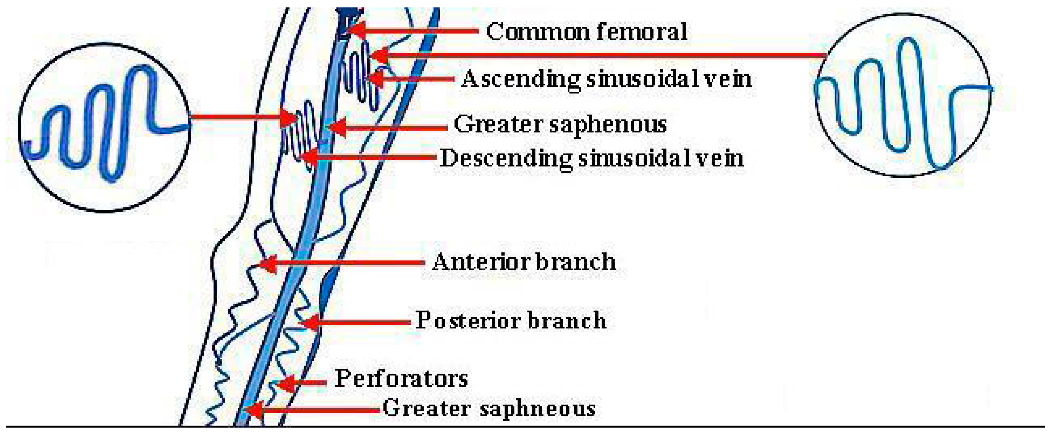 Micromachines 09 00059 g001