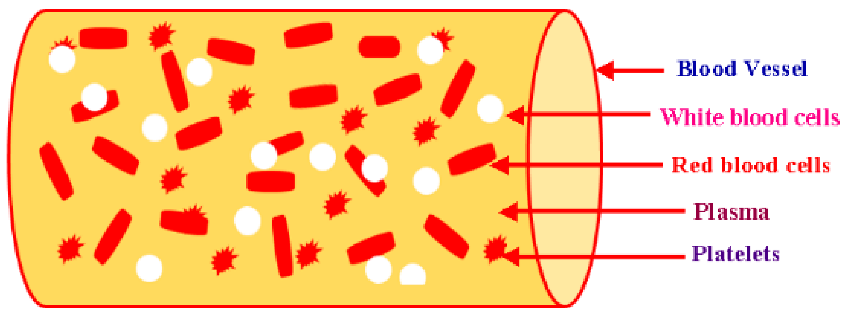 Micromachines 09 00059 g002