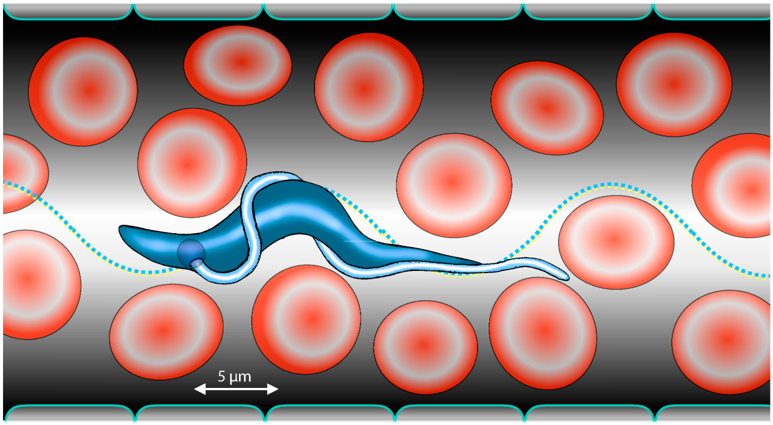 Micromachines 09 00063 g001