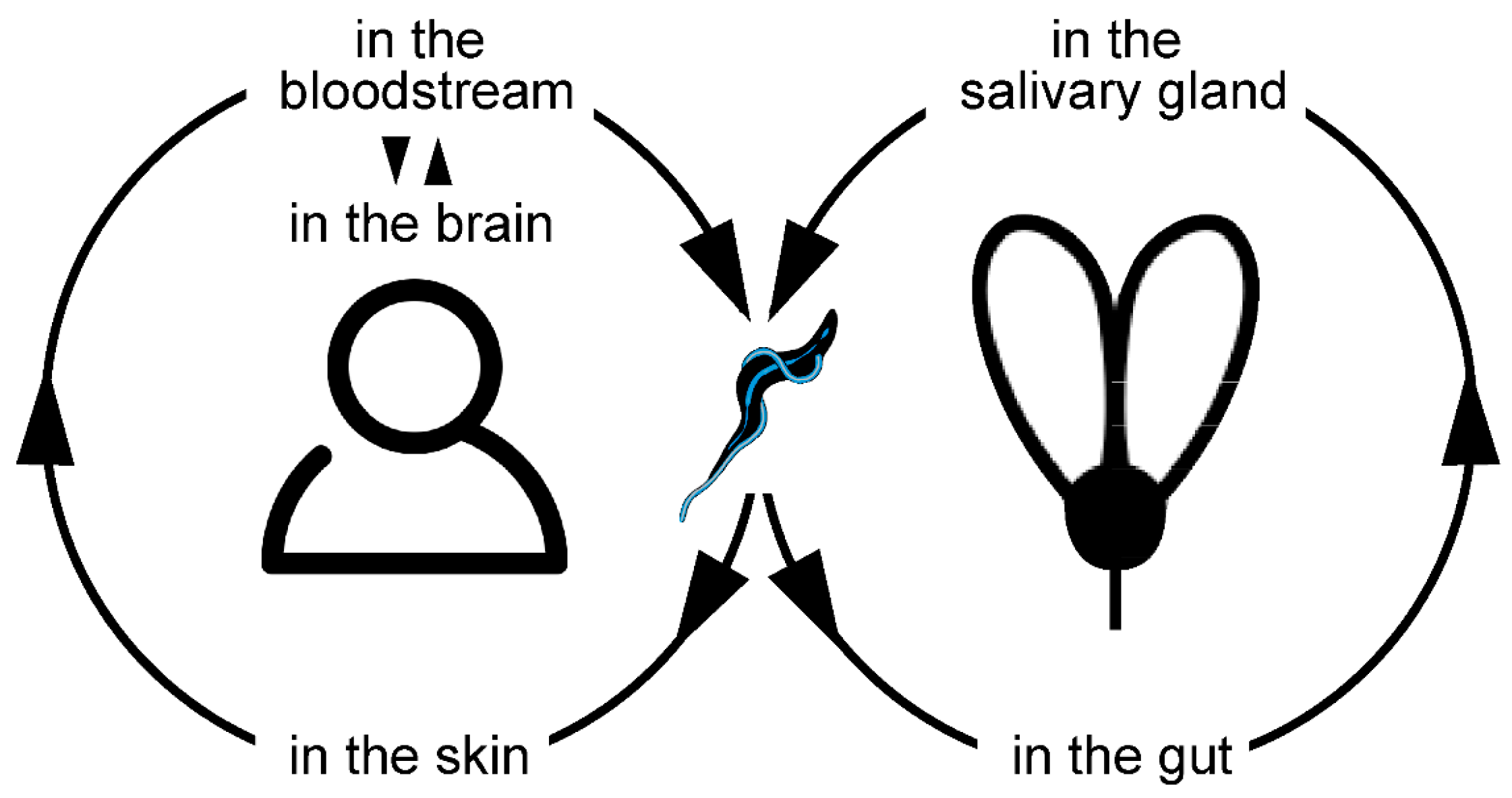 Micromachines 09 00063 g002