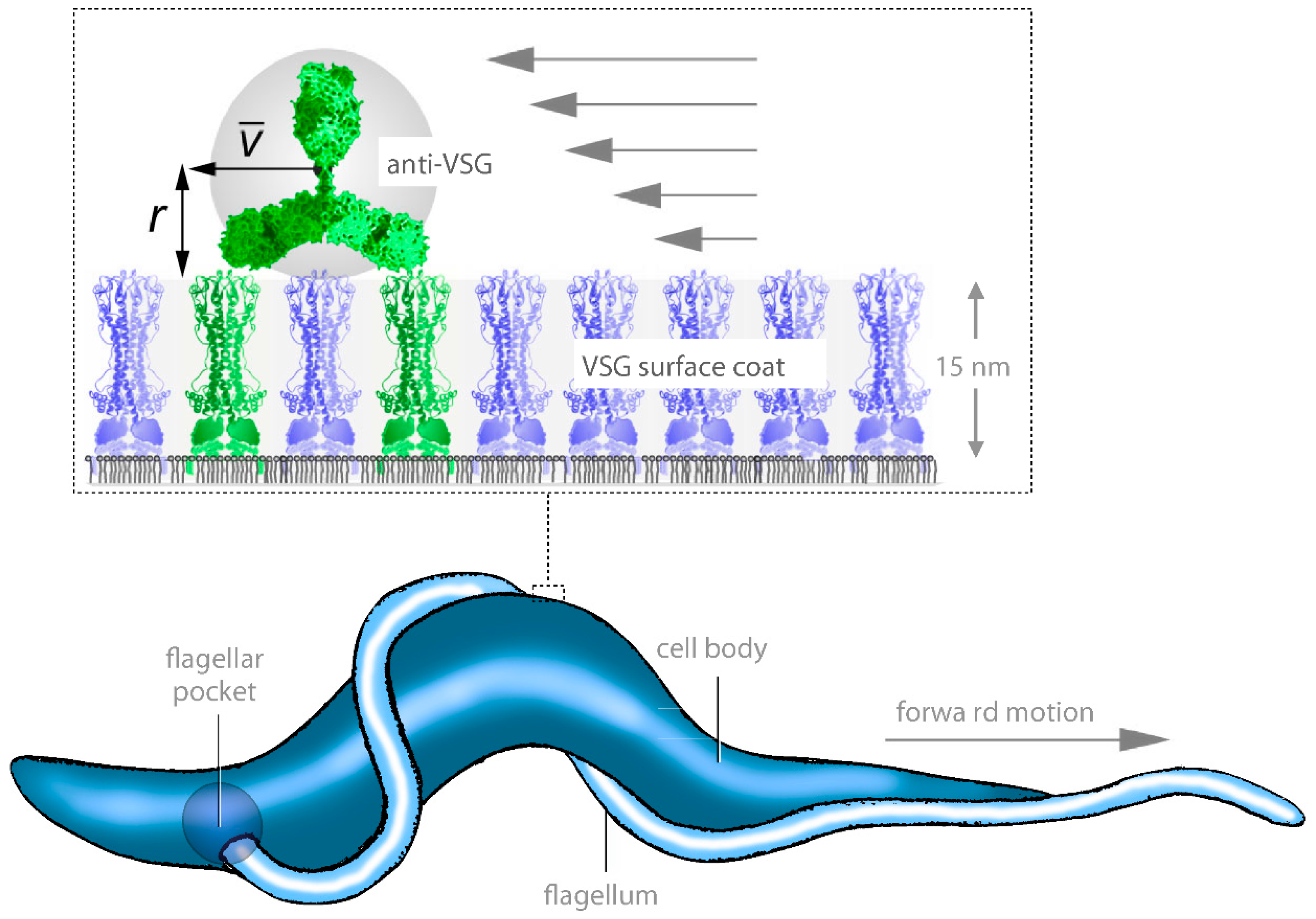 Micromachines 09 00063 g003