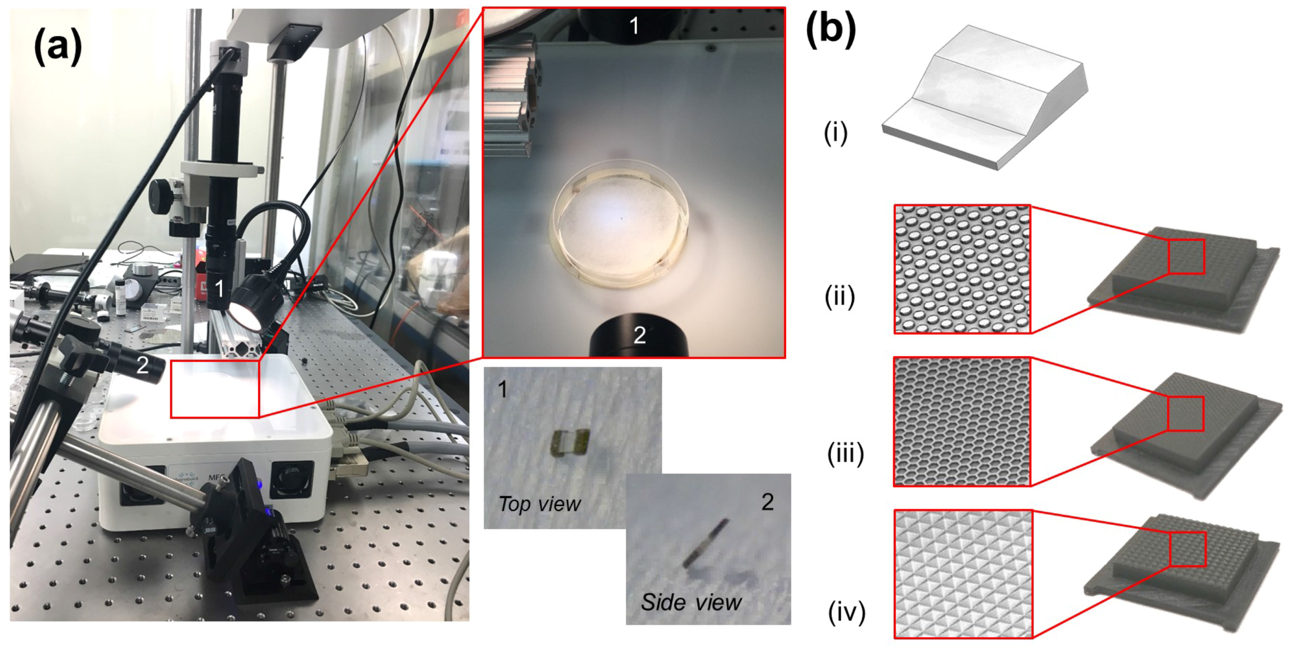 Micromachines 09 00068 g006