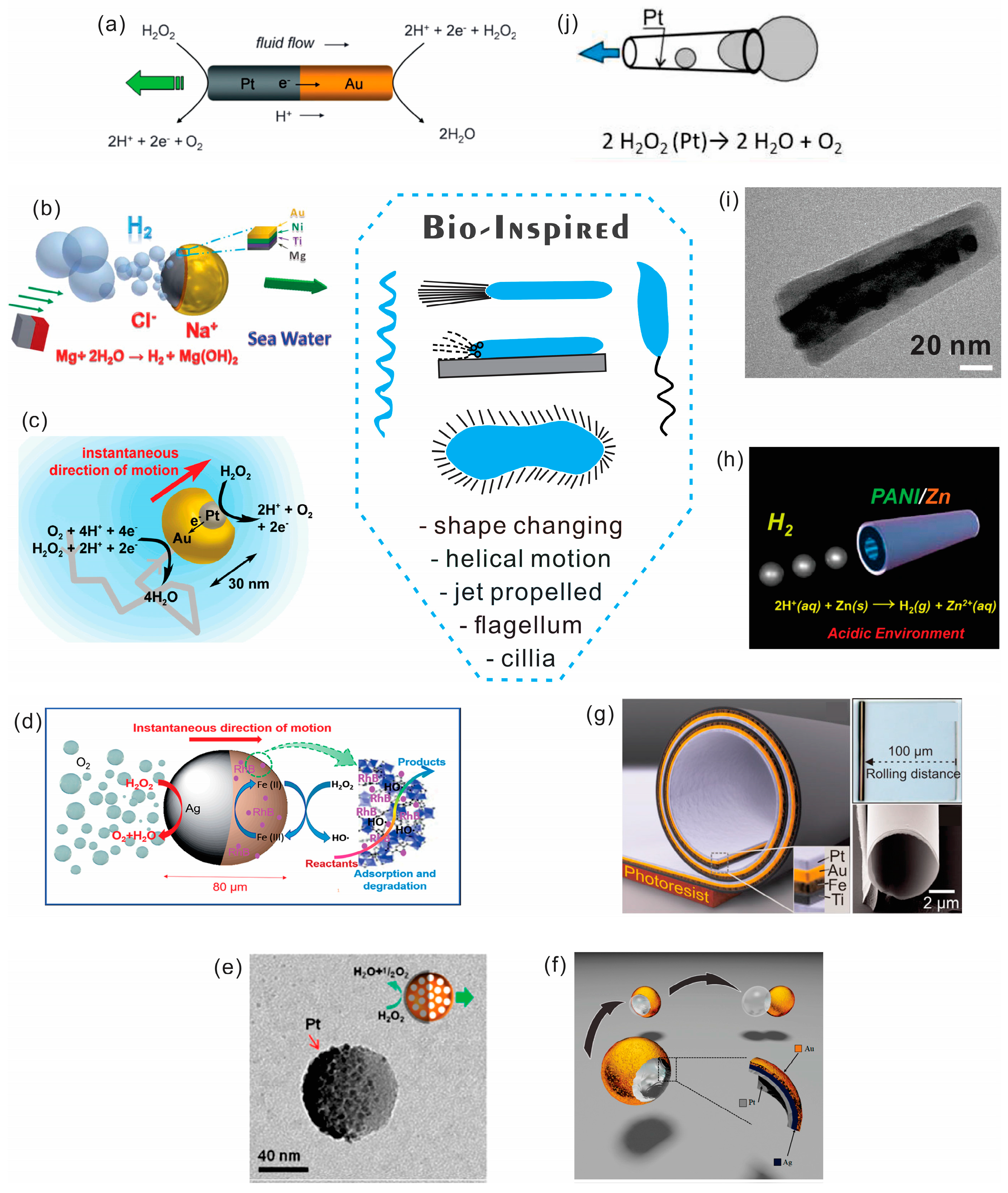 Micromachines 09 00075 g003