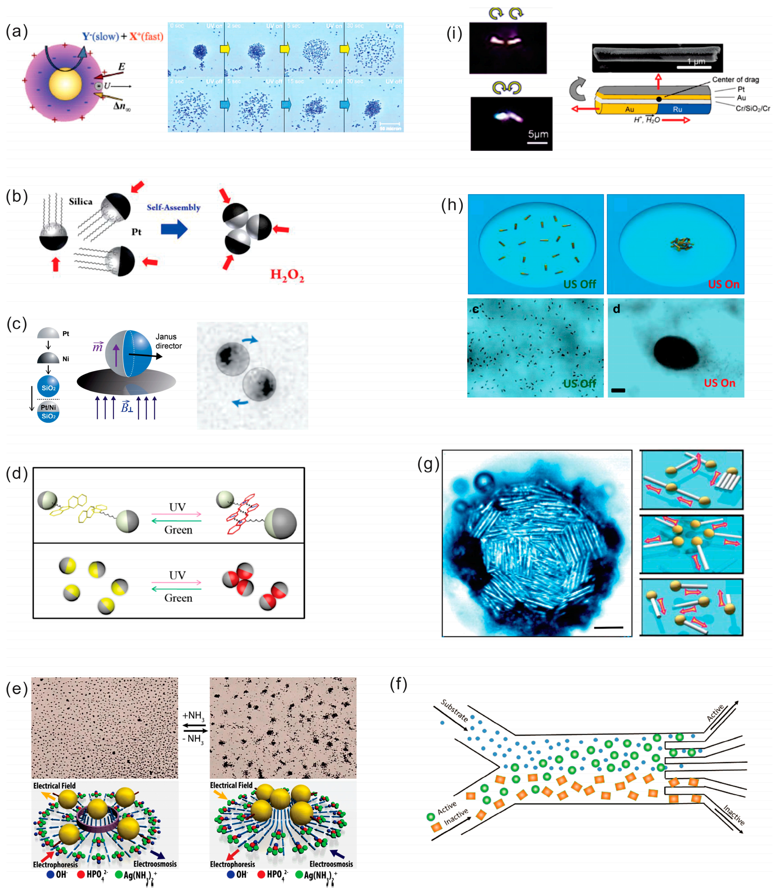 Micromachines 09 00075 g005
