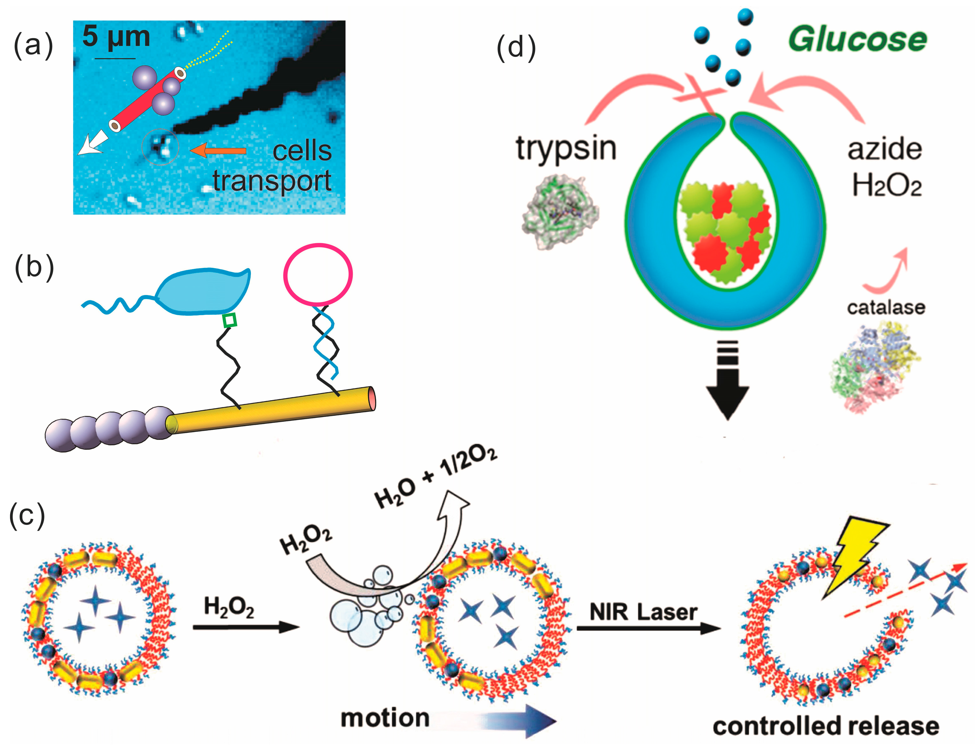 Micromachines 09 00075 g007