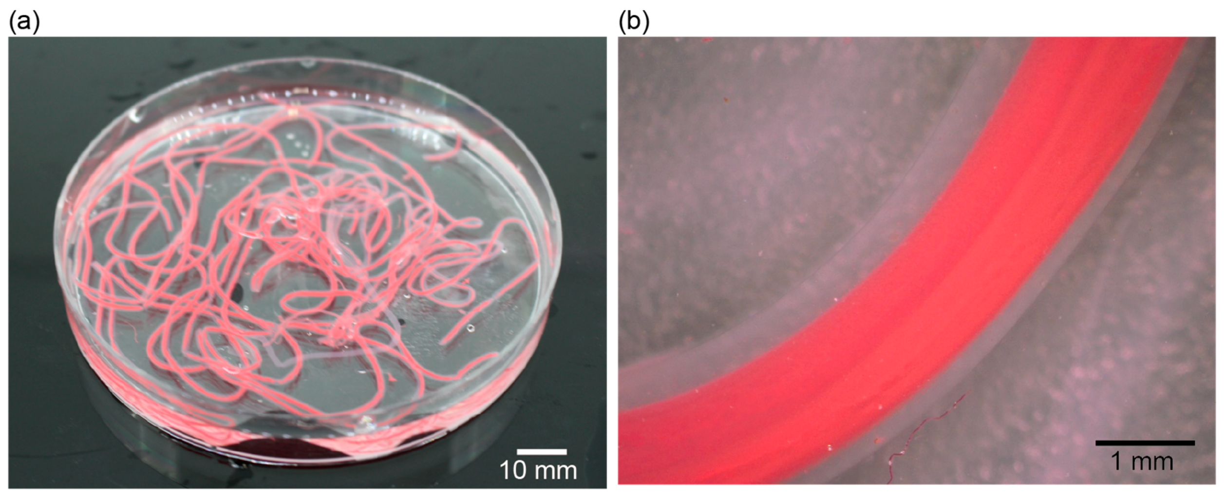 Micromachines 09 00076 g007