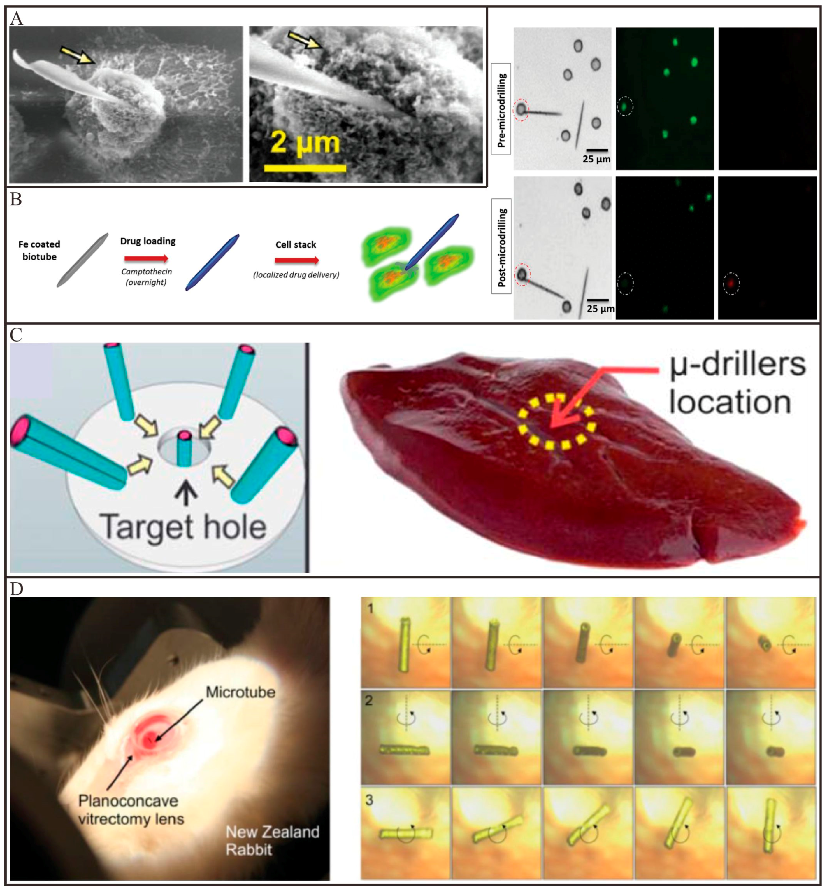 Micromachines 09 00078 g008