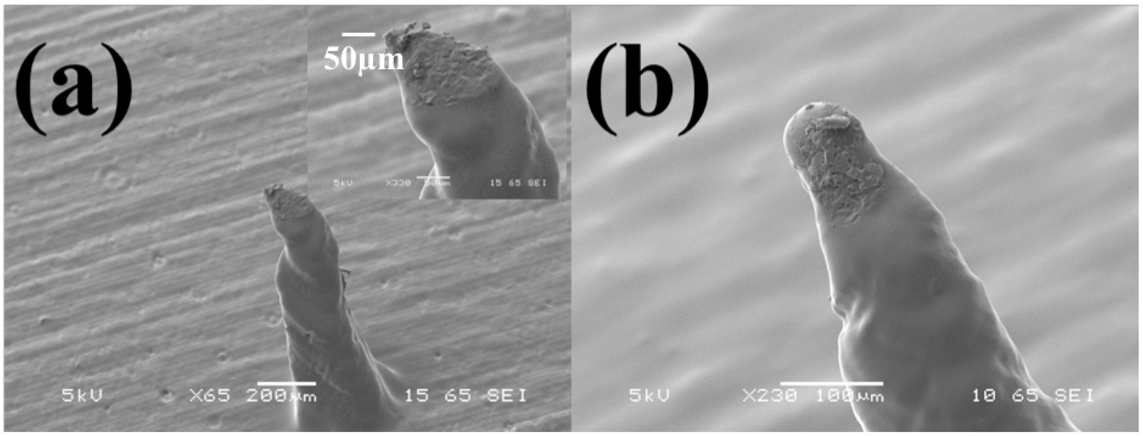 Micromachines 09 00085 g008