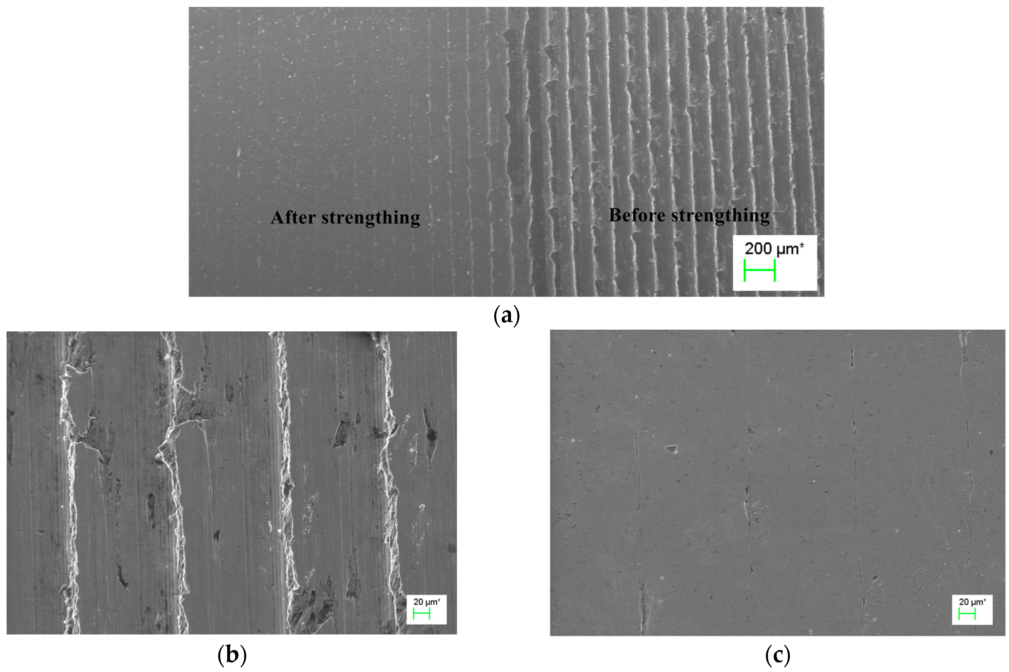 Micromachines 09 00098 g007