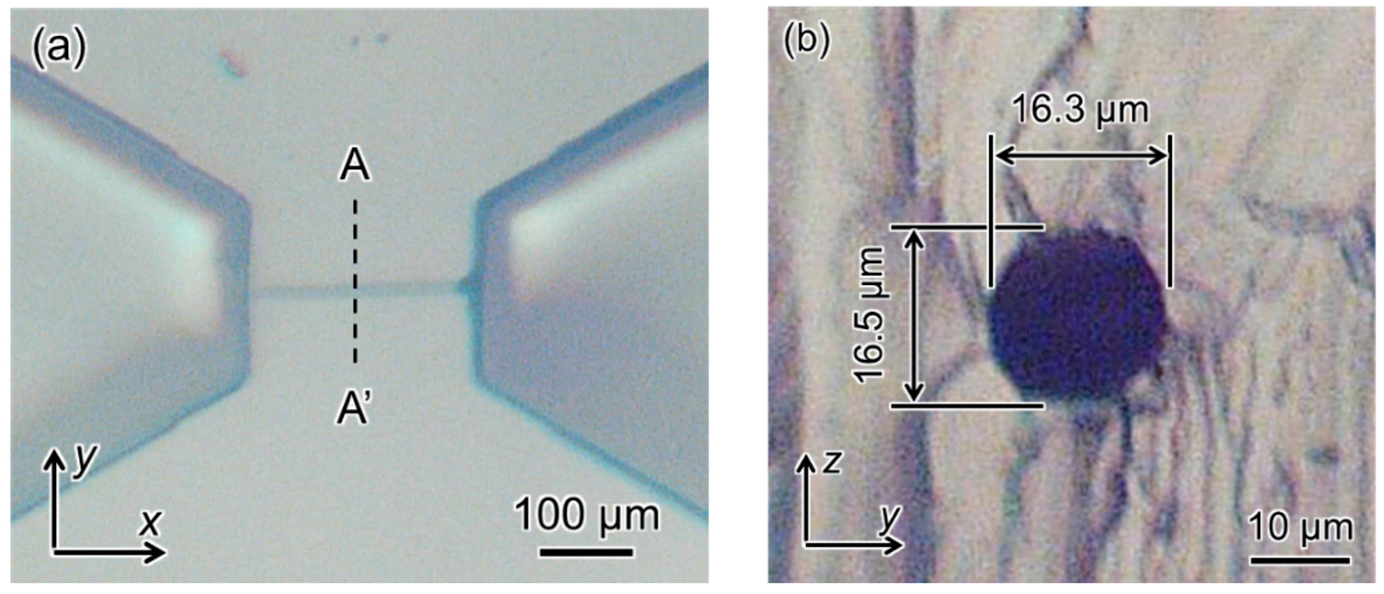 Micromachines 09 00101 g012