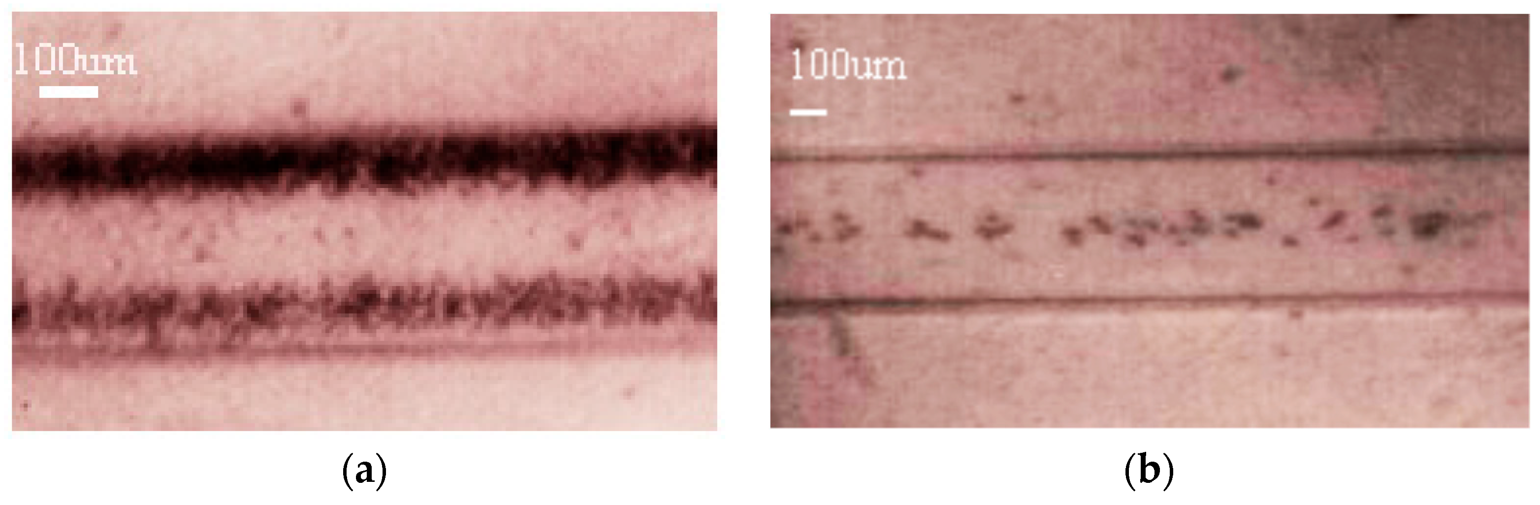 Micromachines 09 00129 g005