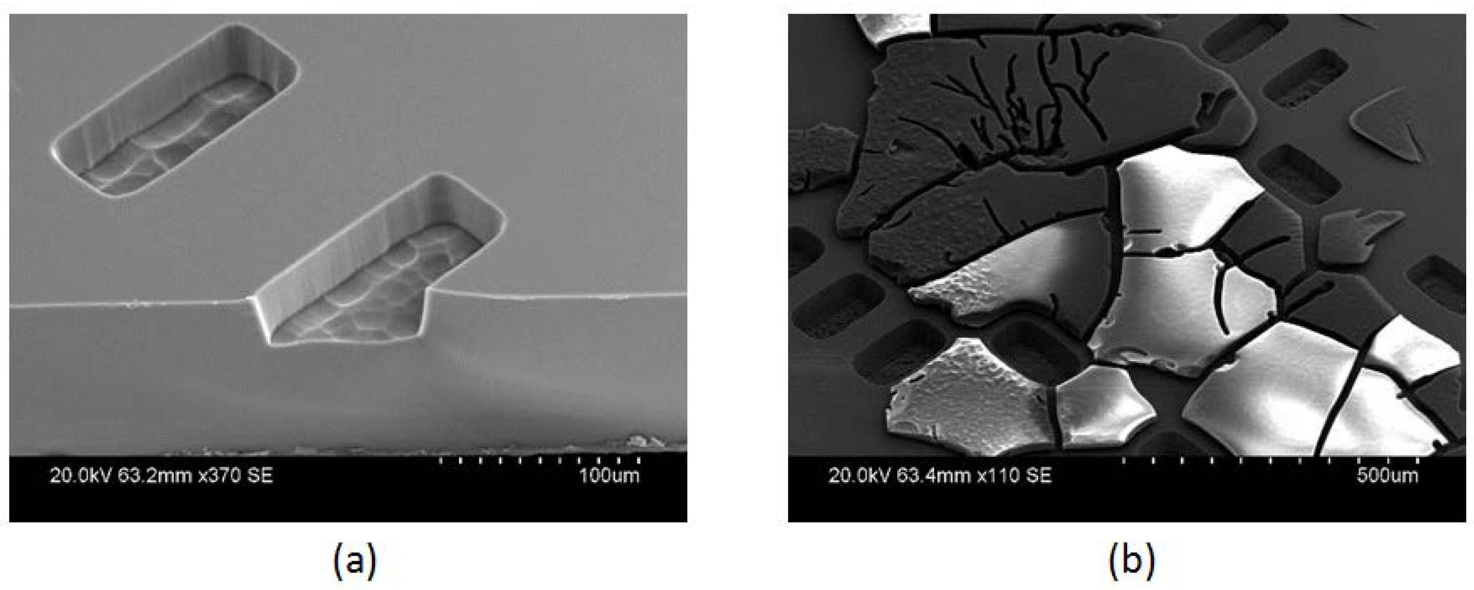 Micromachines 09 00138 g003