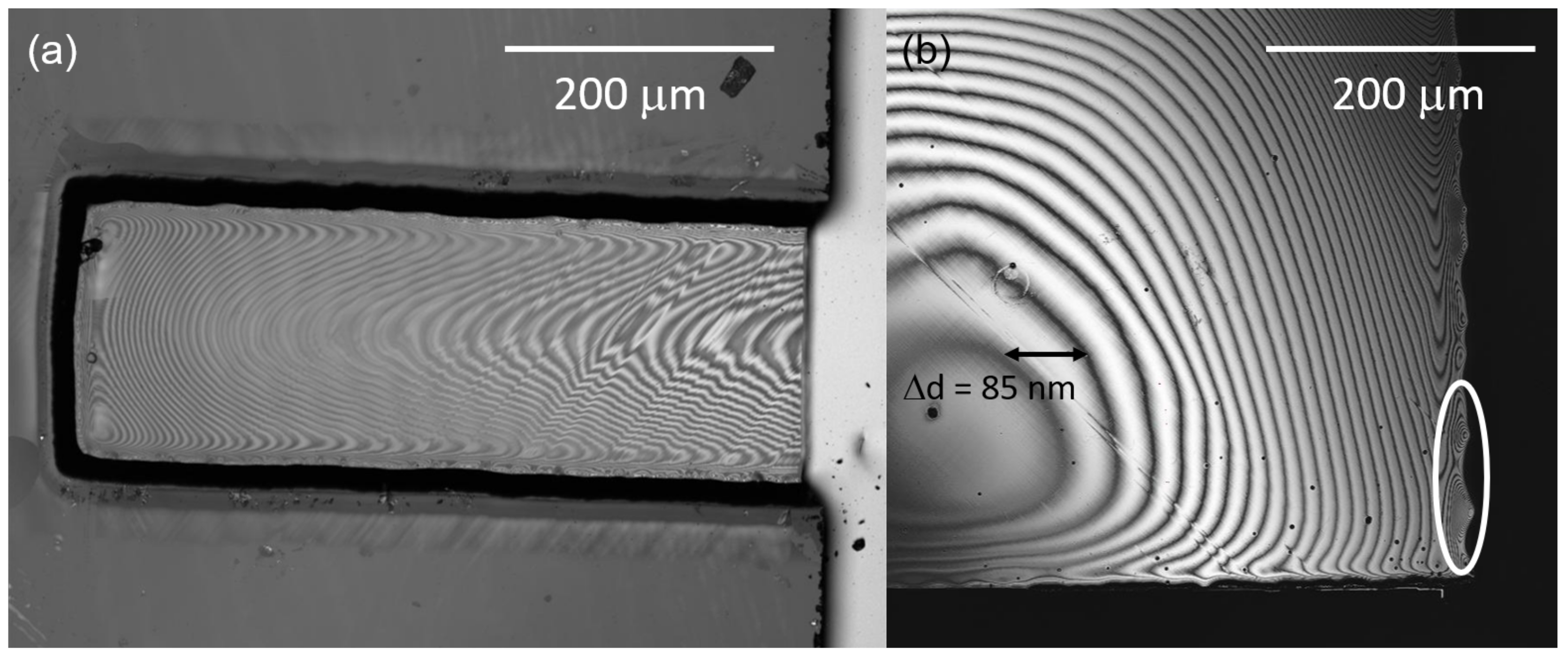Micromachines 09 00148 g003