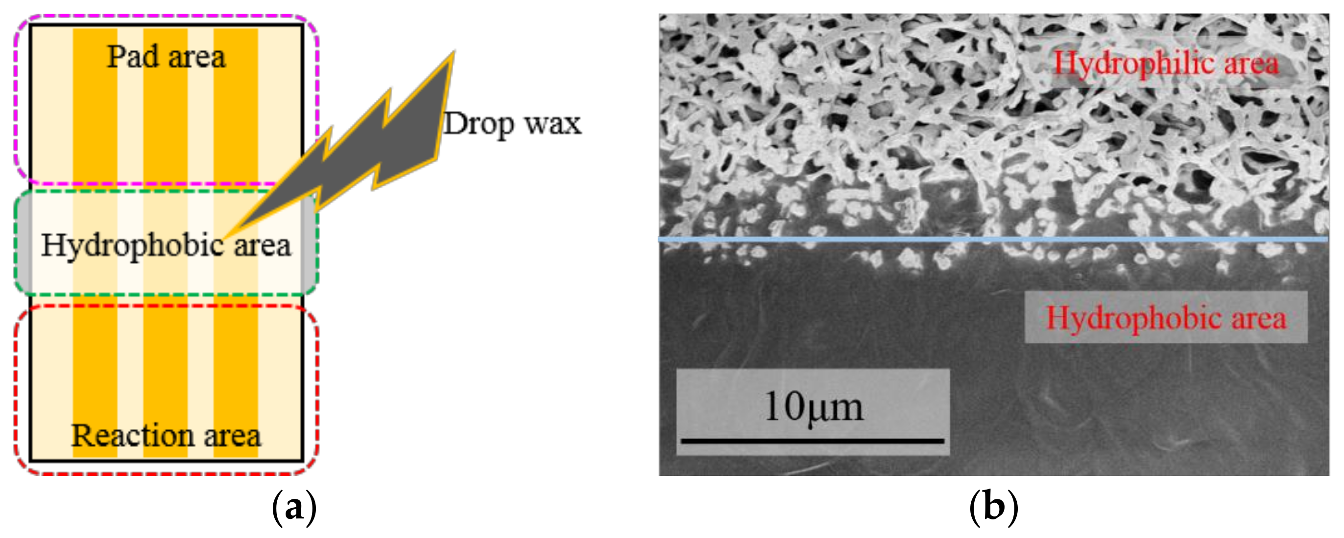 Micromachines 09 00150 g001