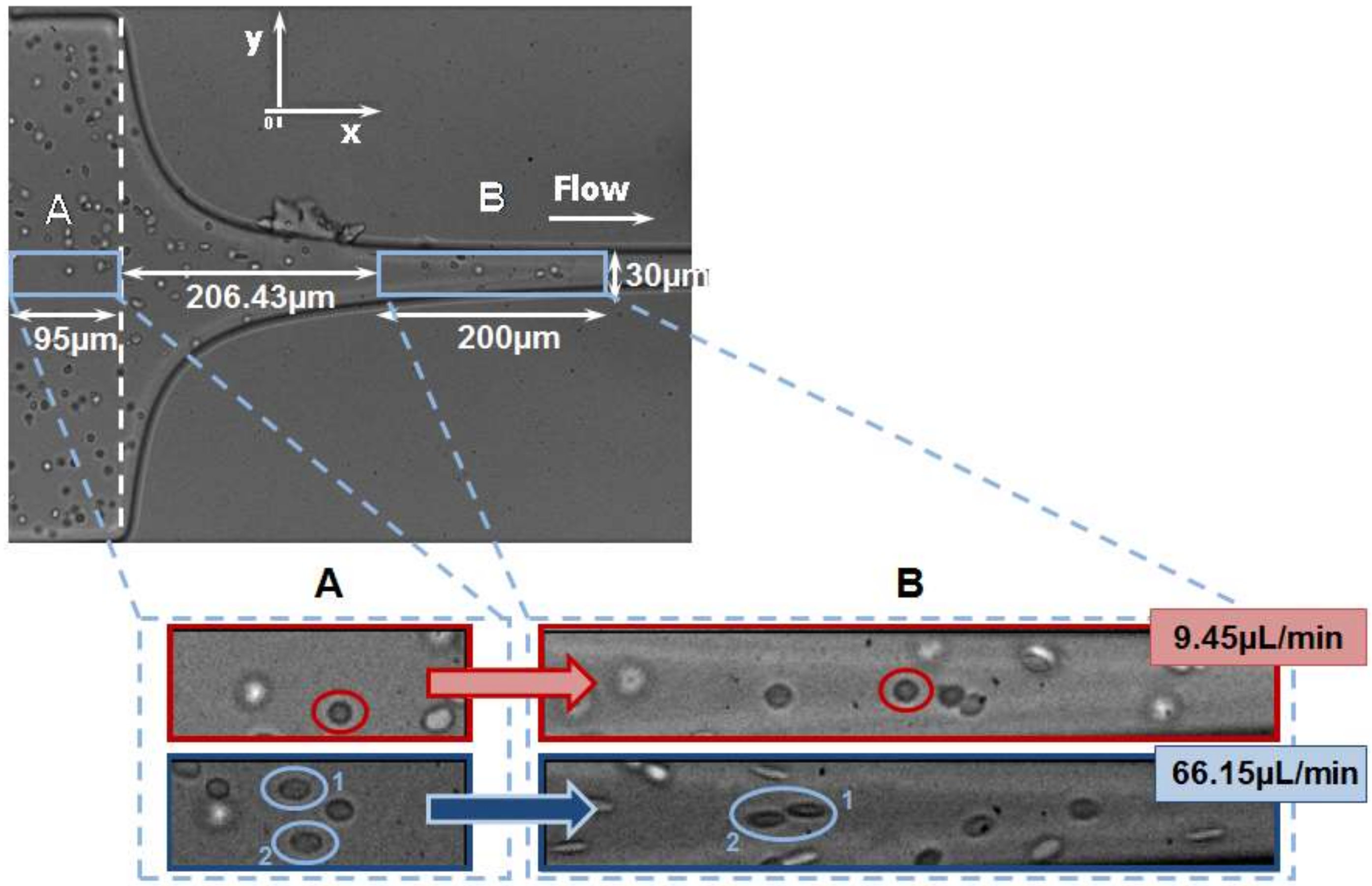 Micromachines 09 00151 g003