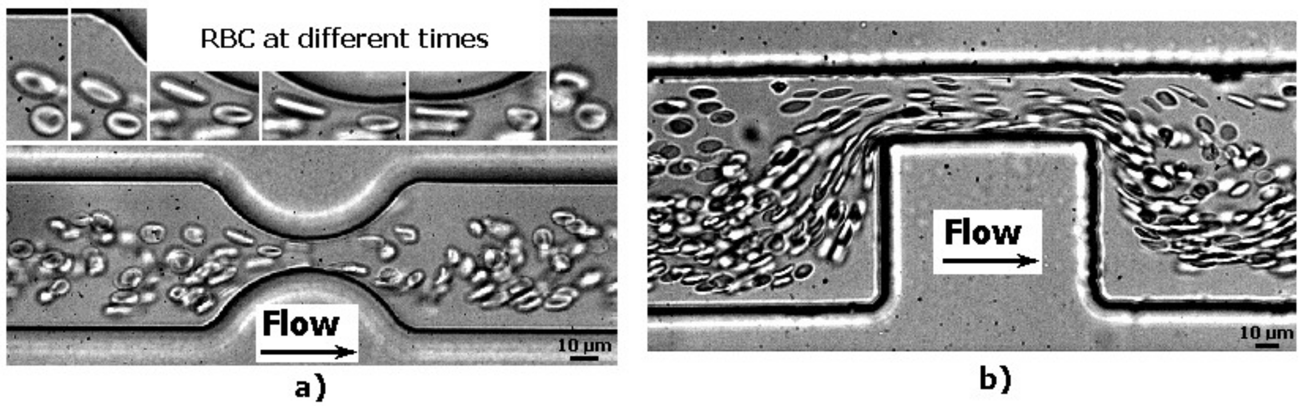 Micromachines 09 00151 g005