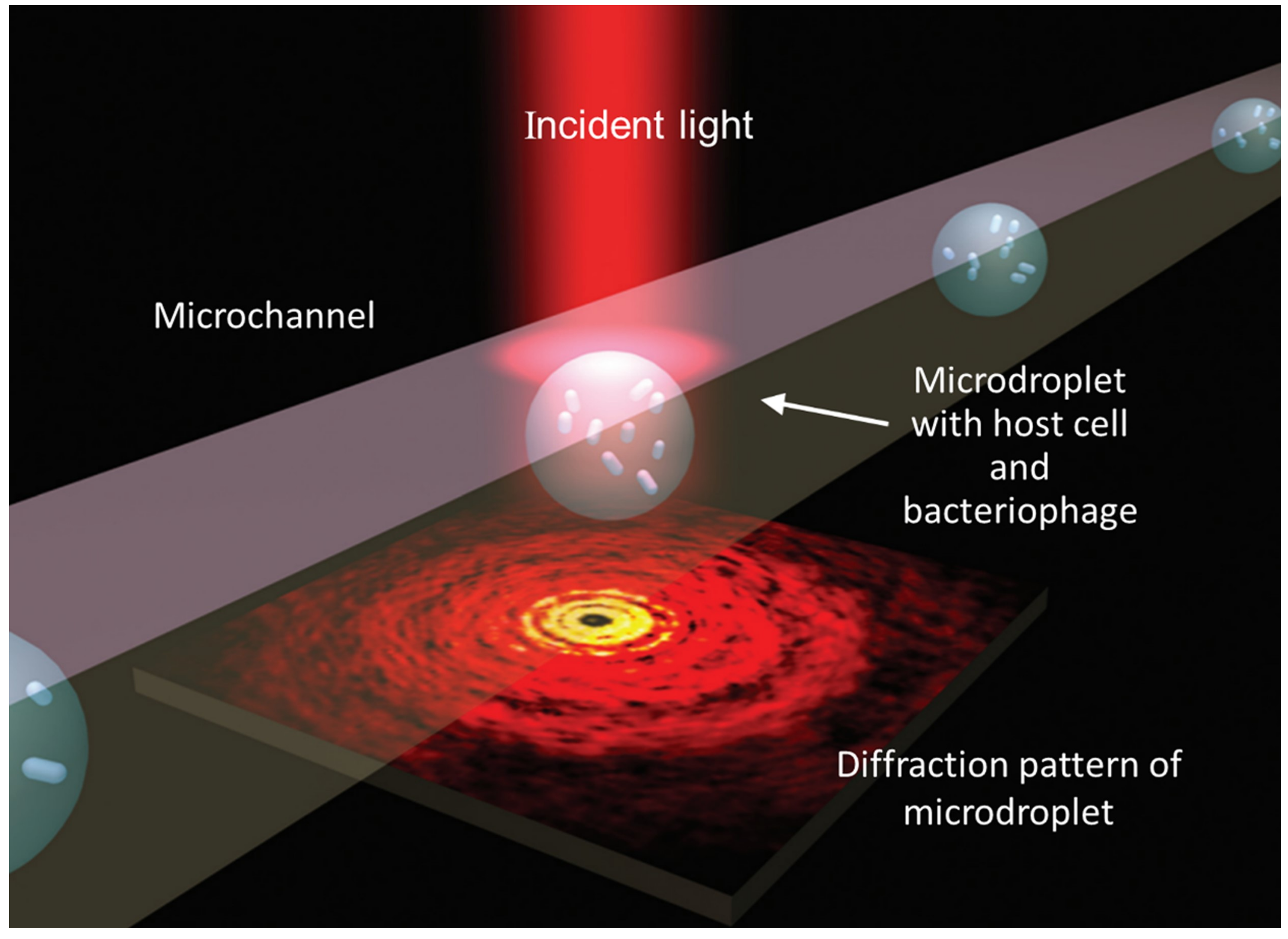 Micromachines 09 00158 g005