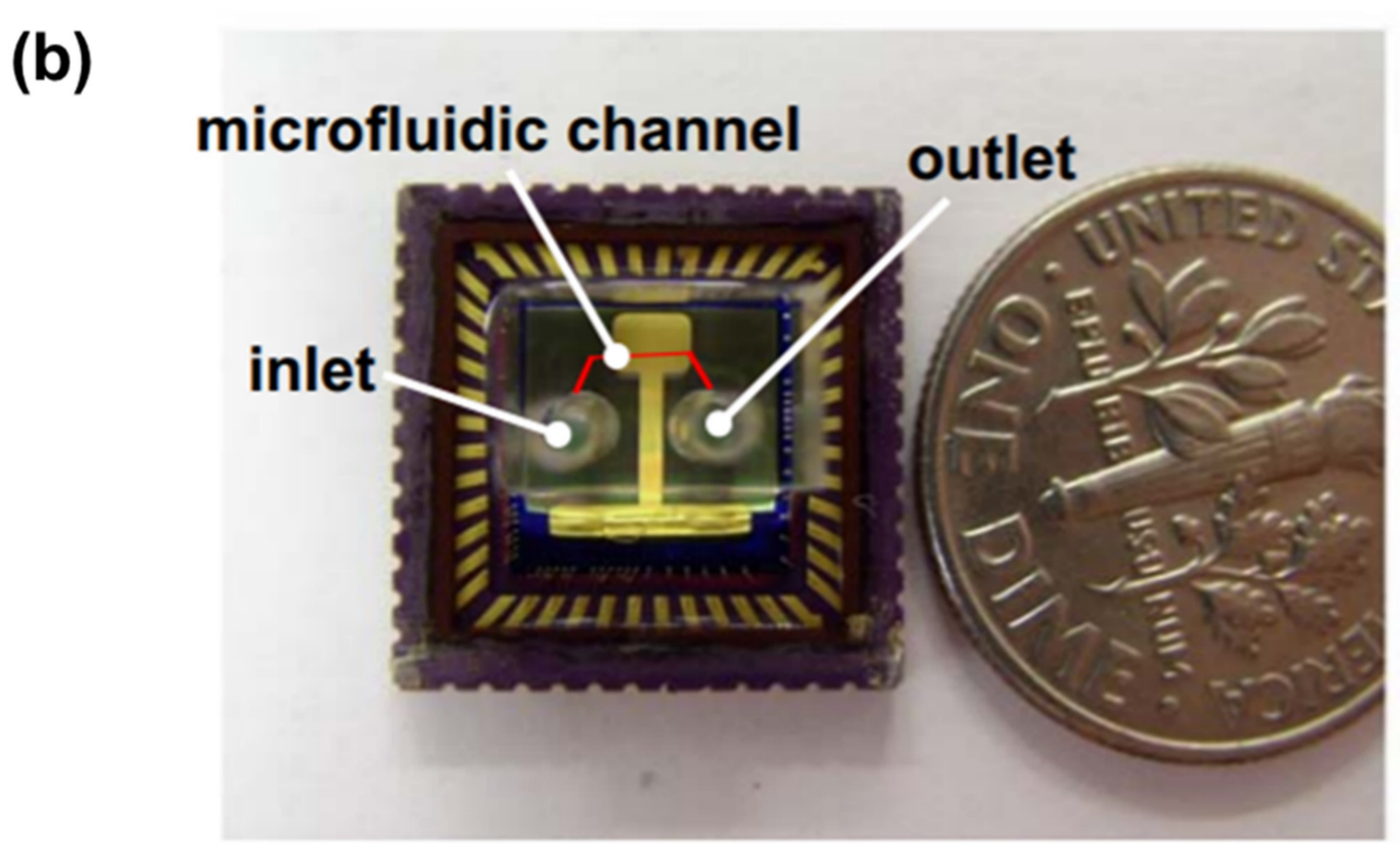 Micromachines 09 00158 g006b