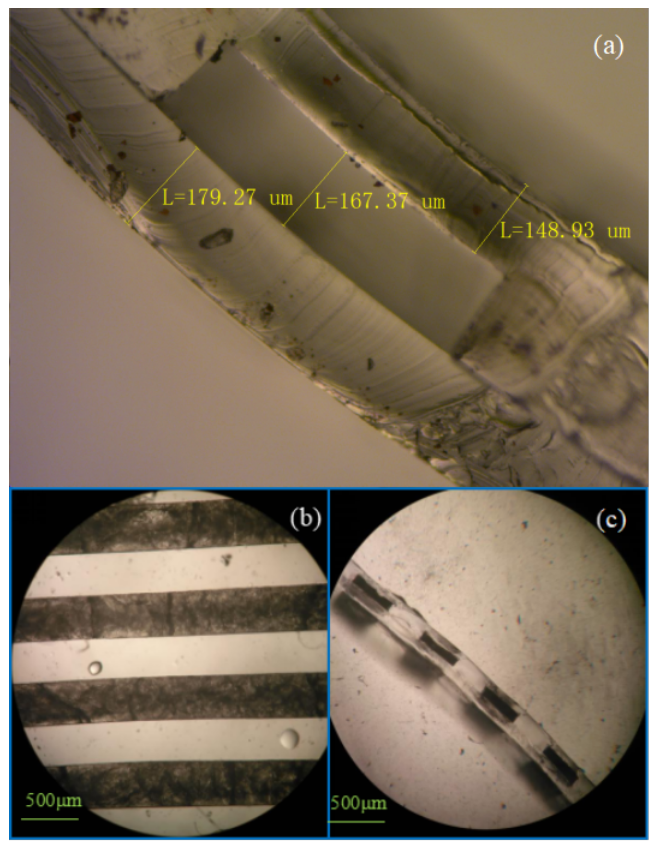 Micromachines 09 00165 g008