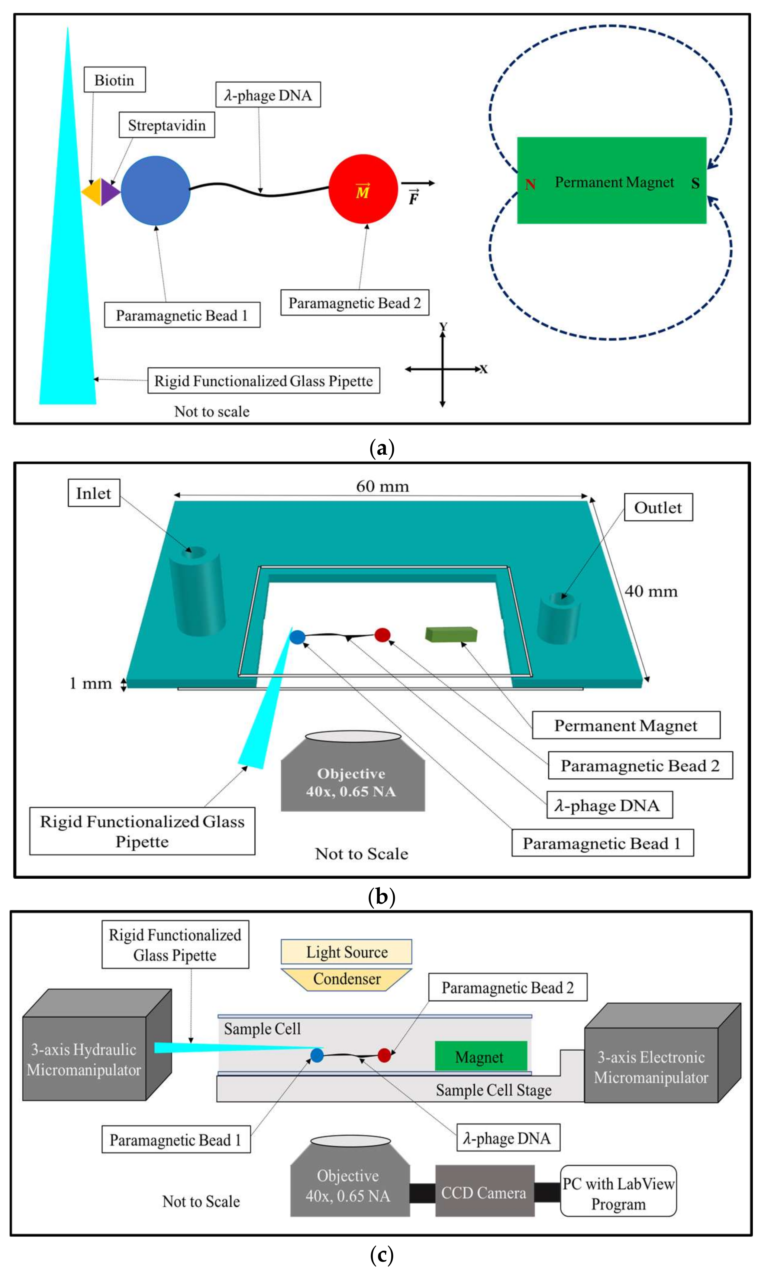 Micromachines 09 00188 g001