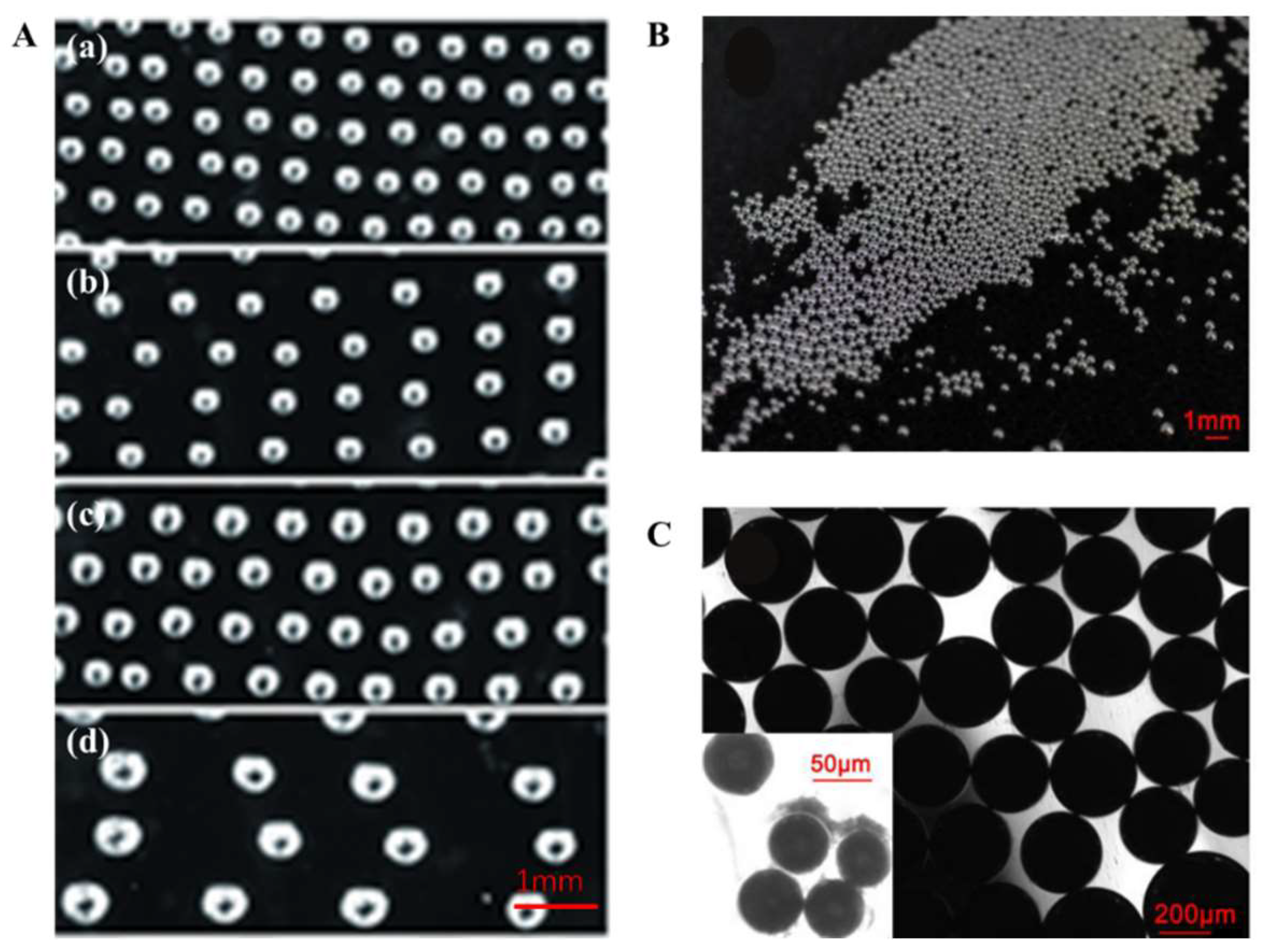 Micromachines 09 00218 g004