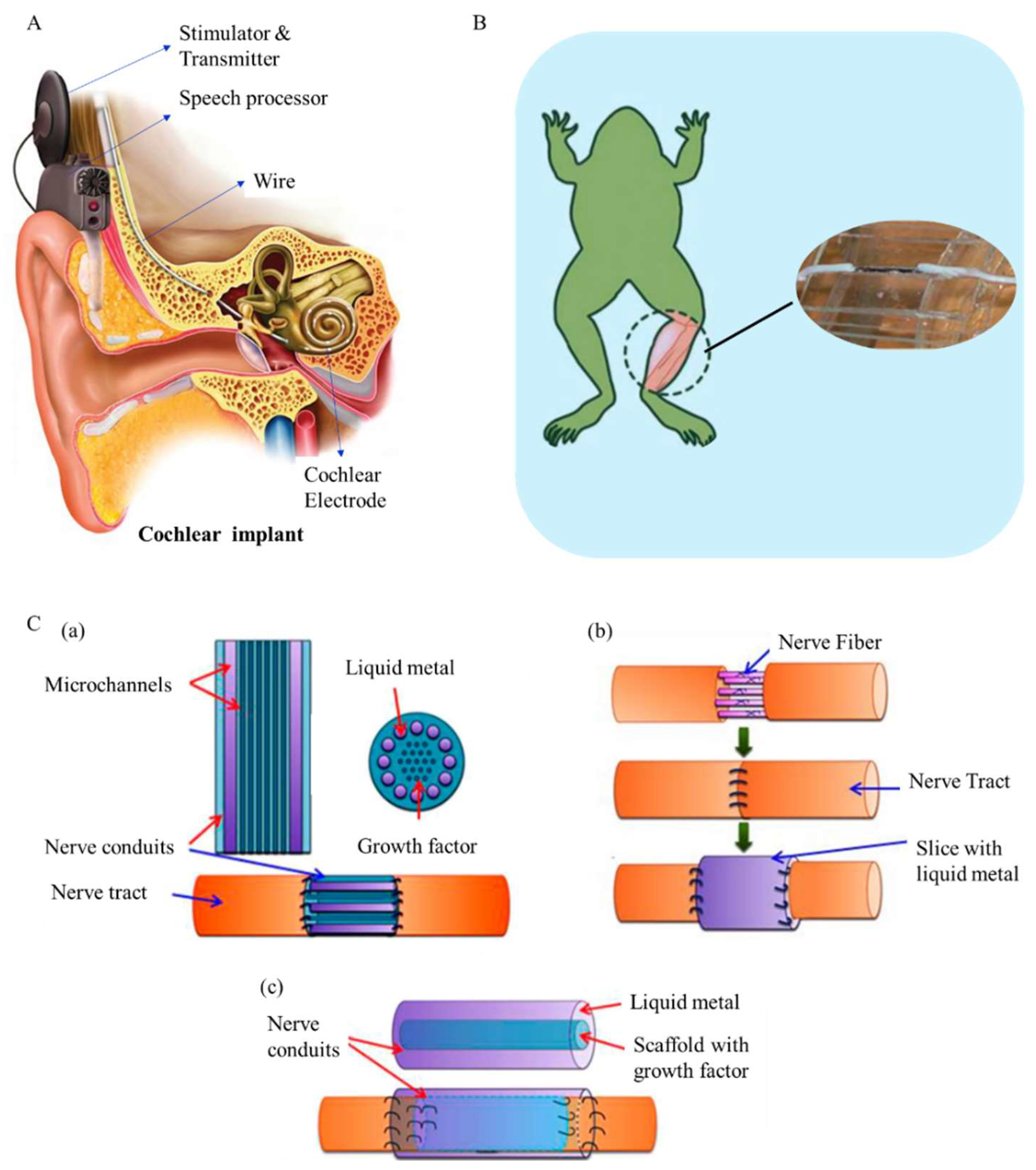 Micromachines 09 00218 g008