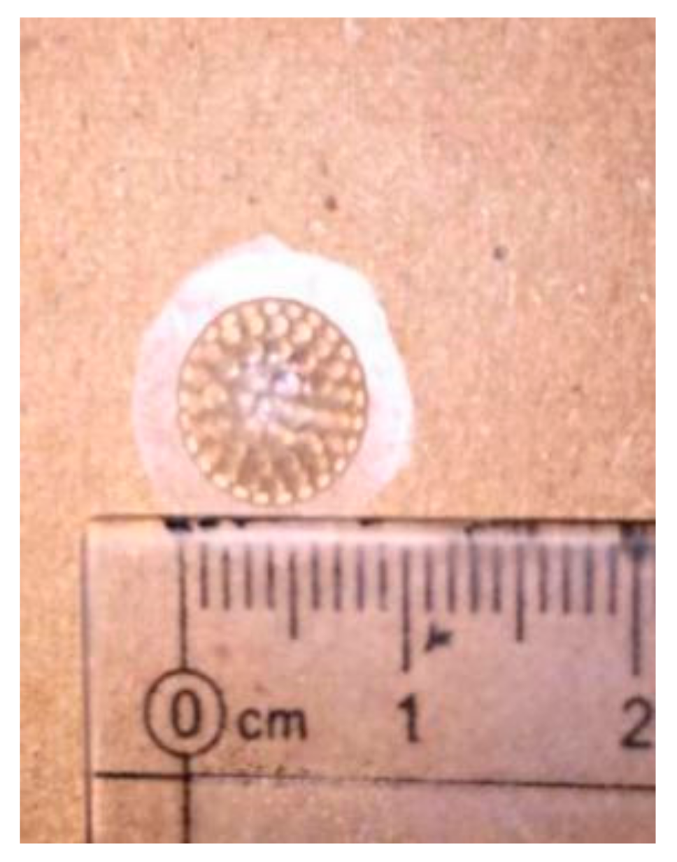 Micromachines 09 00238 g011
