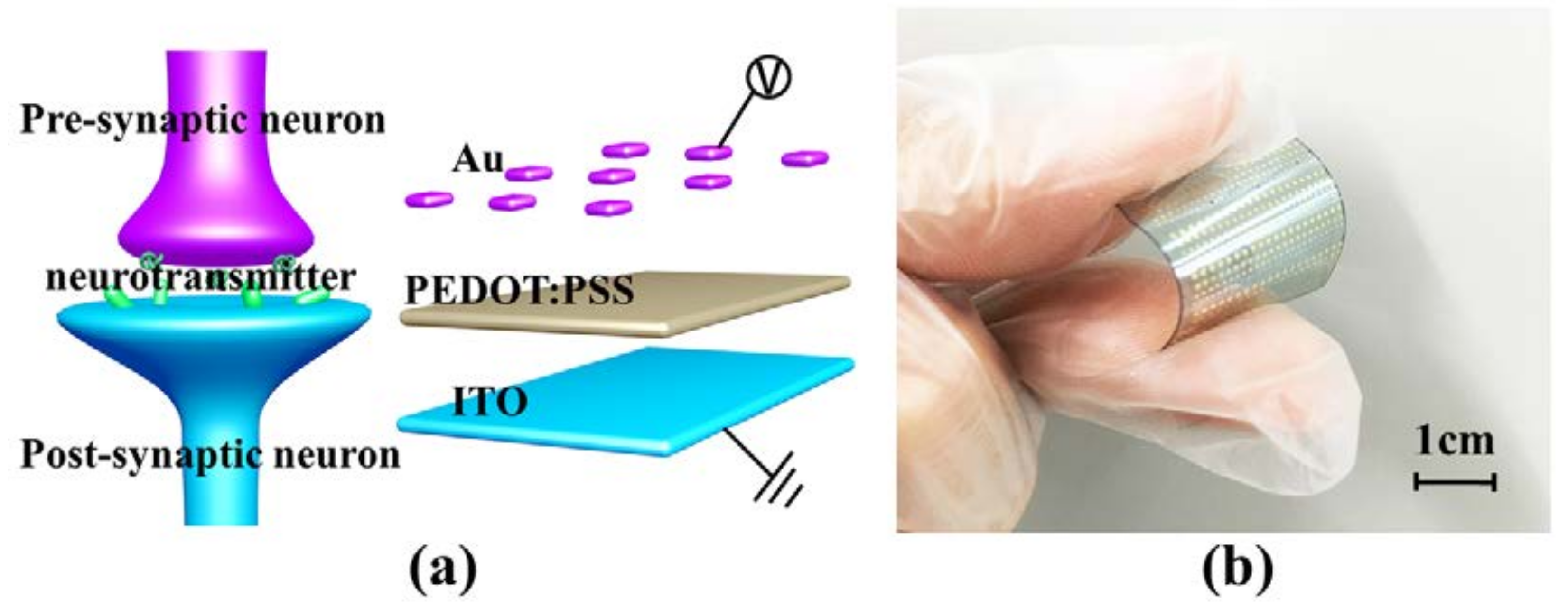 Micromachines 09 00239 g001