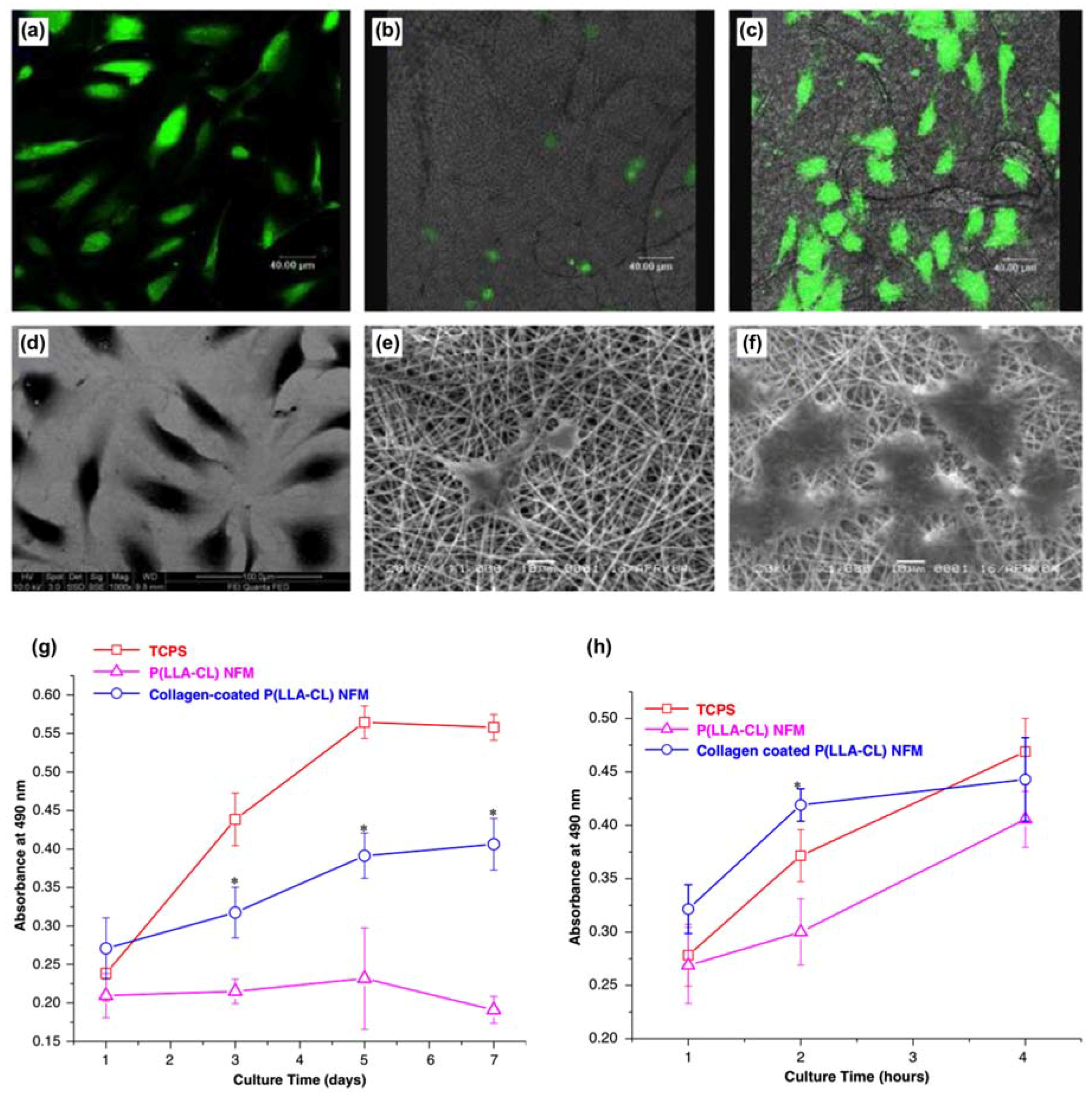 Micromachines 09 00243 g006