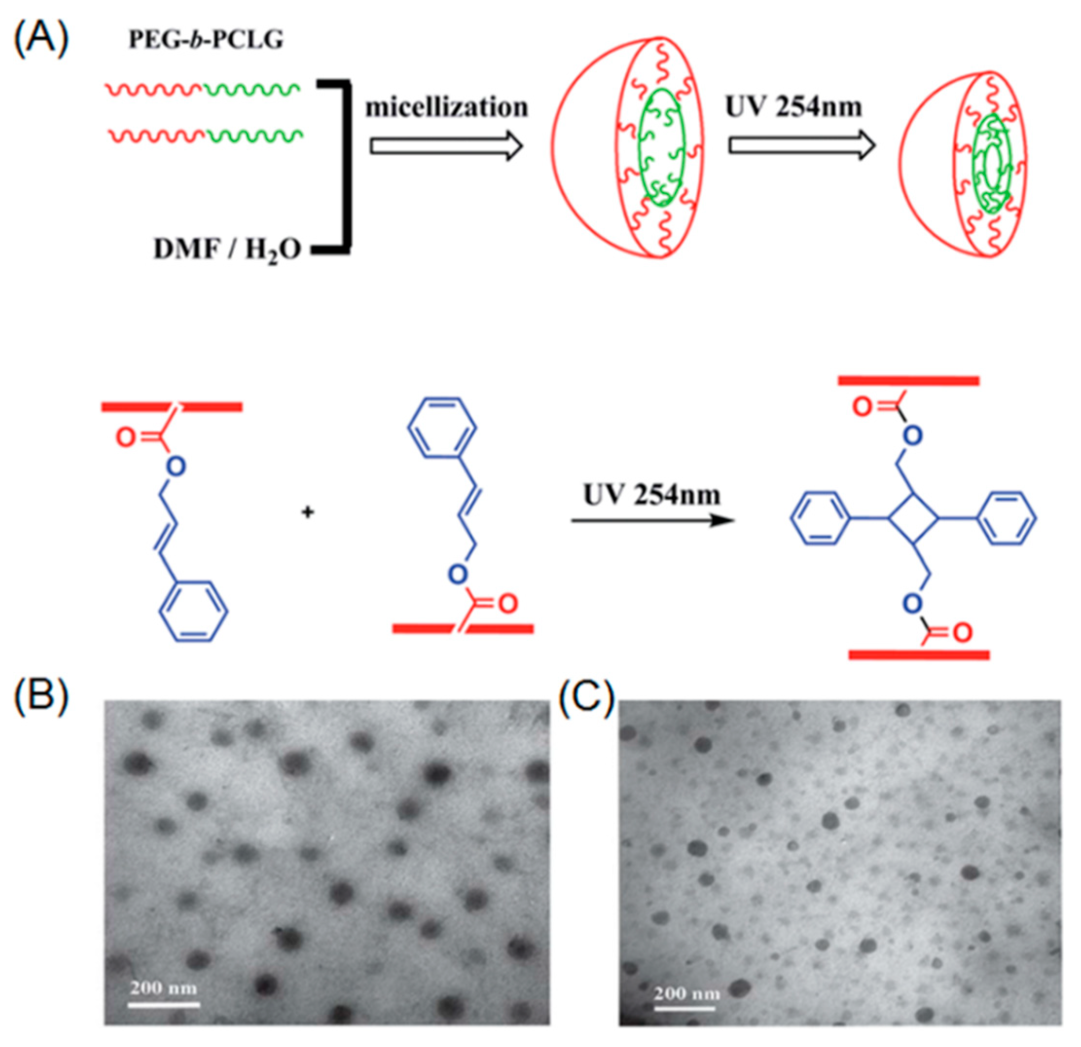 Micromachines 09 00296 g001