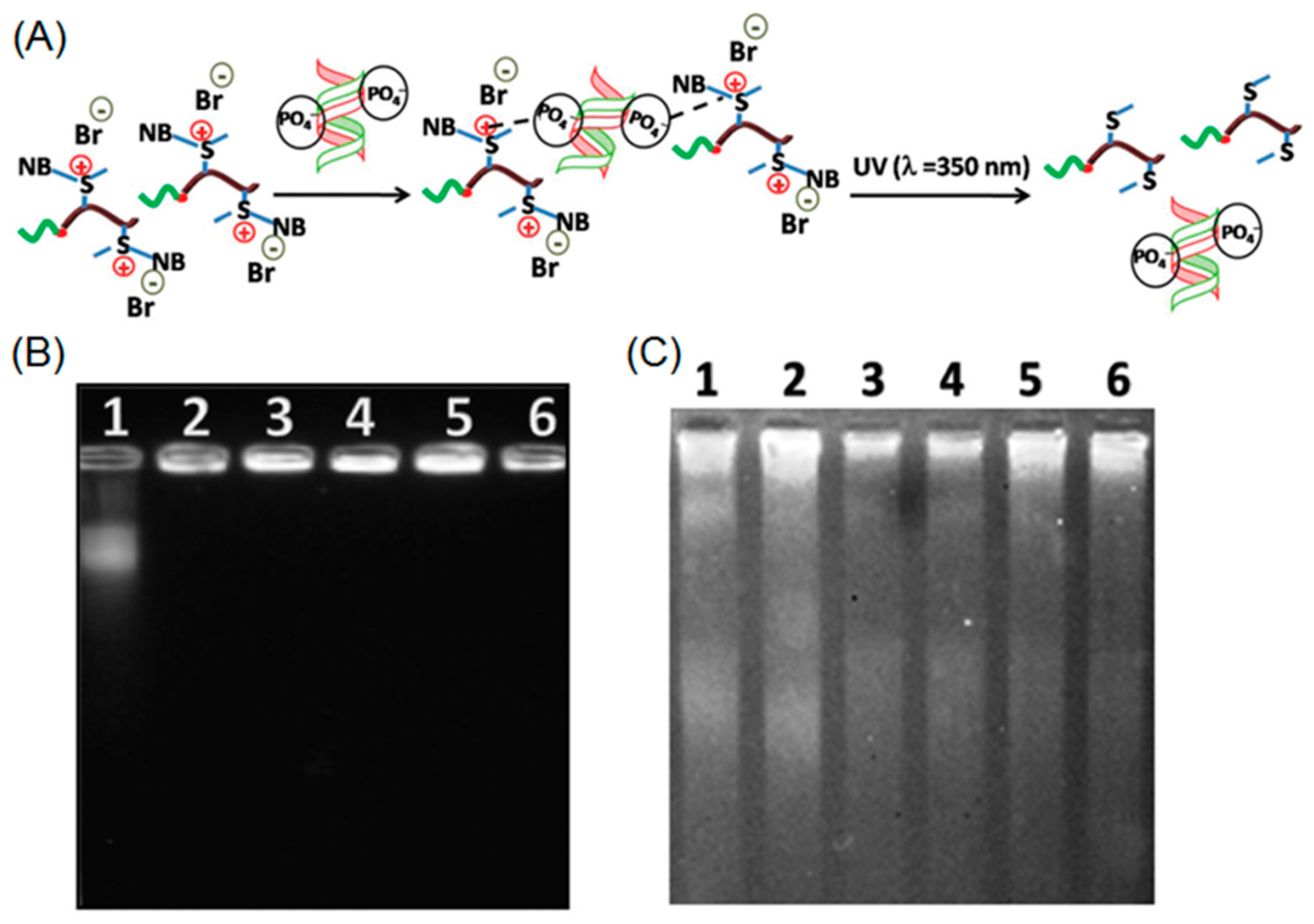 Micromachines 09 00296 g009