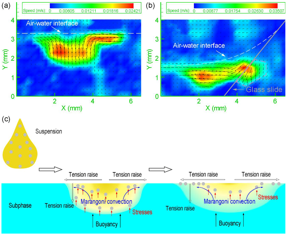 Micromachines 09 00297 g005 Micromachines 09 00297 g005