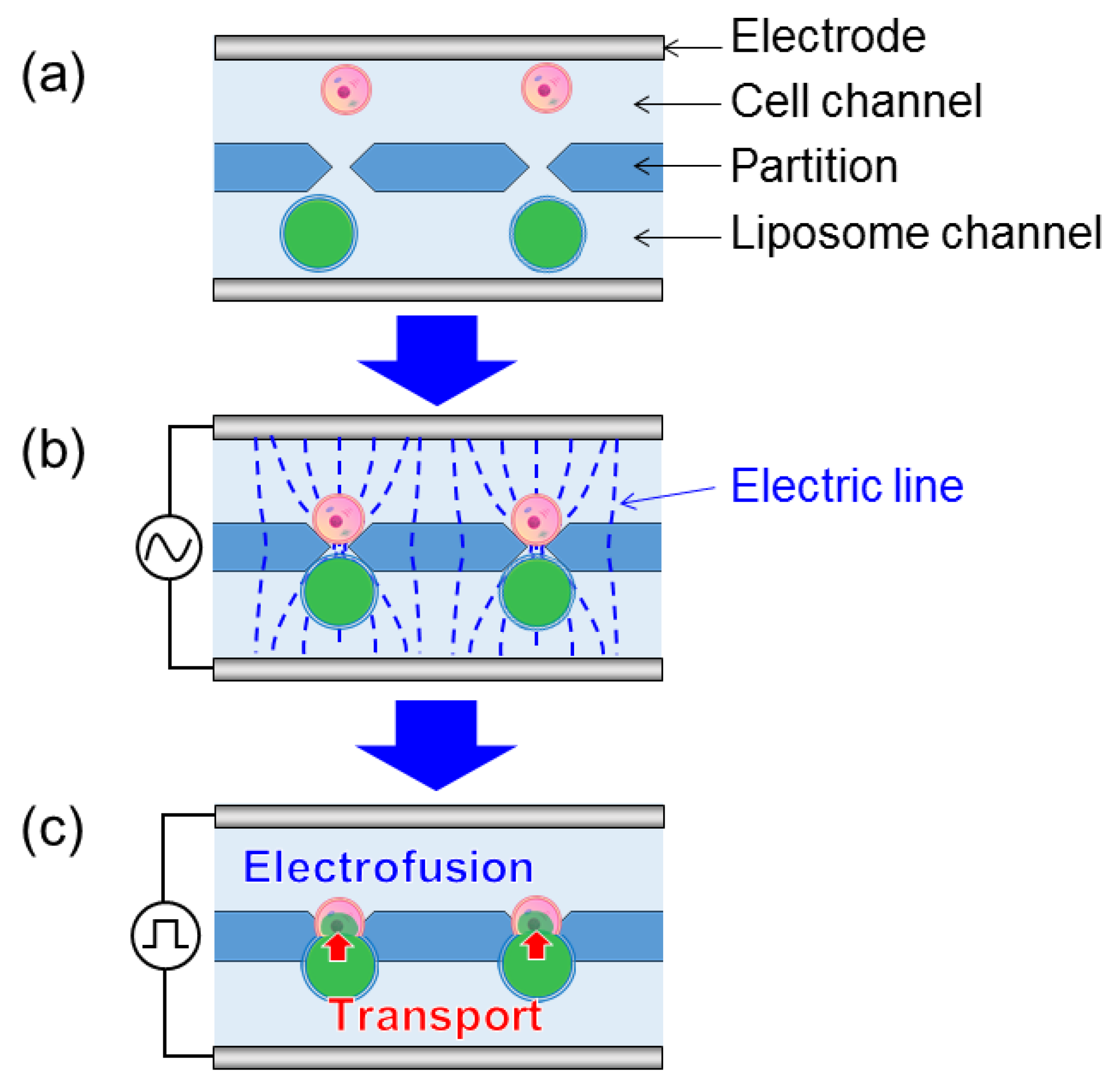 Micromachines 09 00331 g001