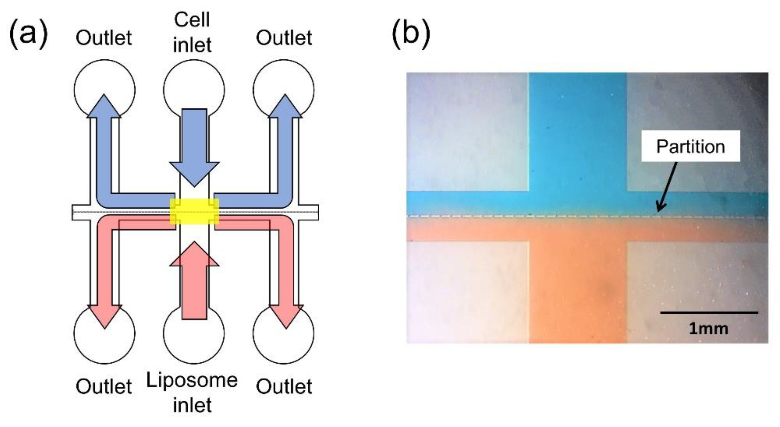 Micromachines 09 00331 g003