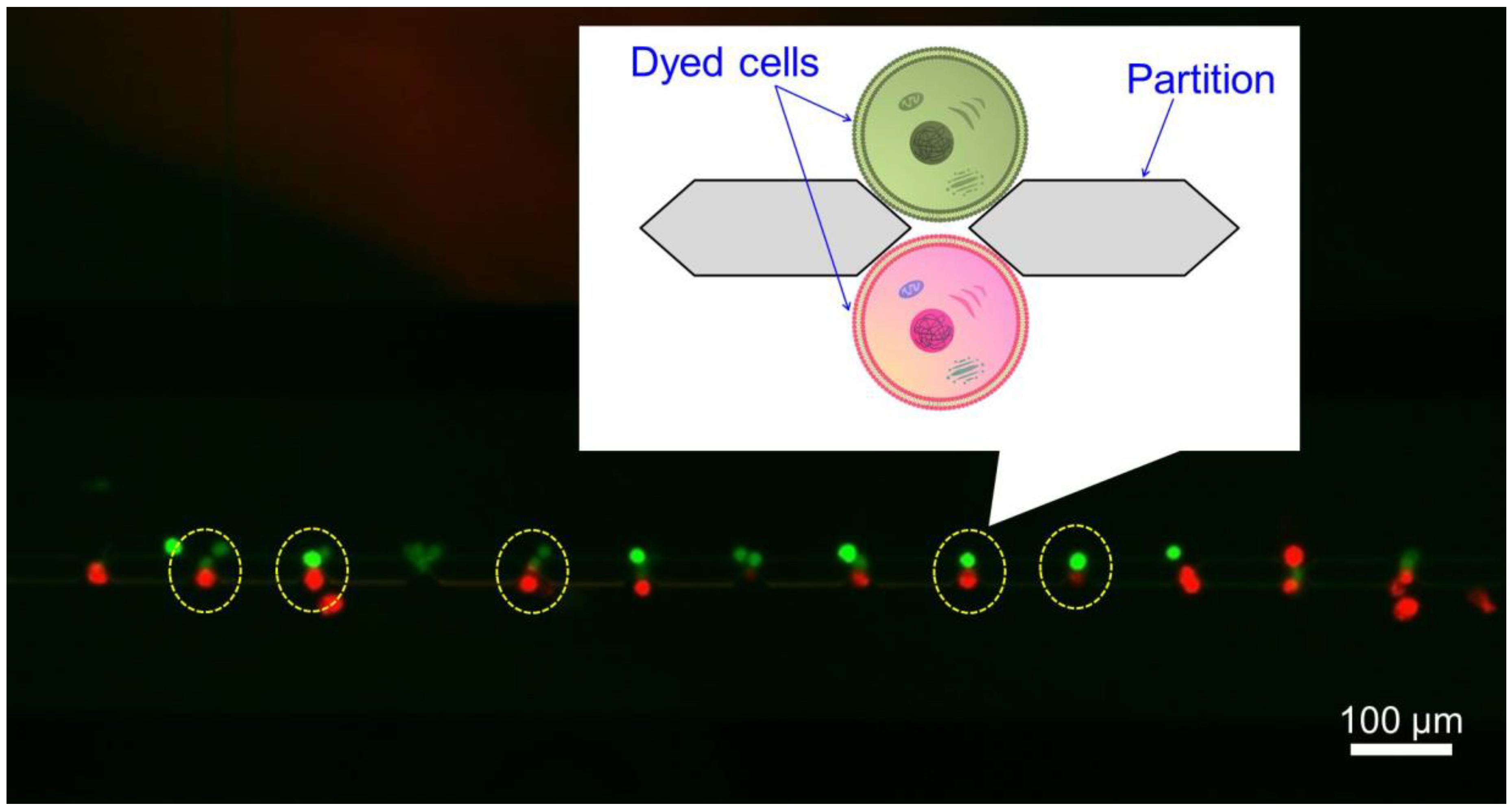 Micromachines 09 00331 g005