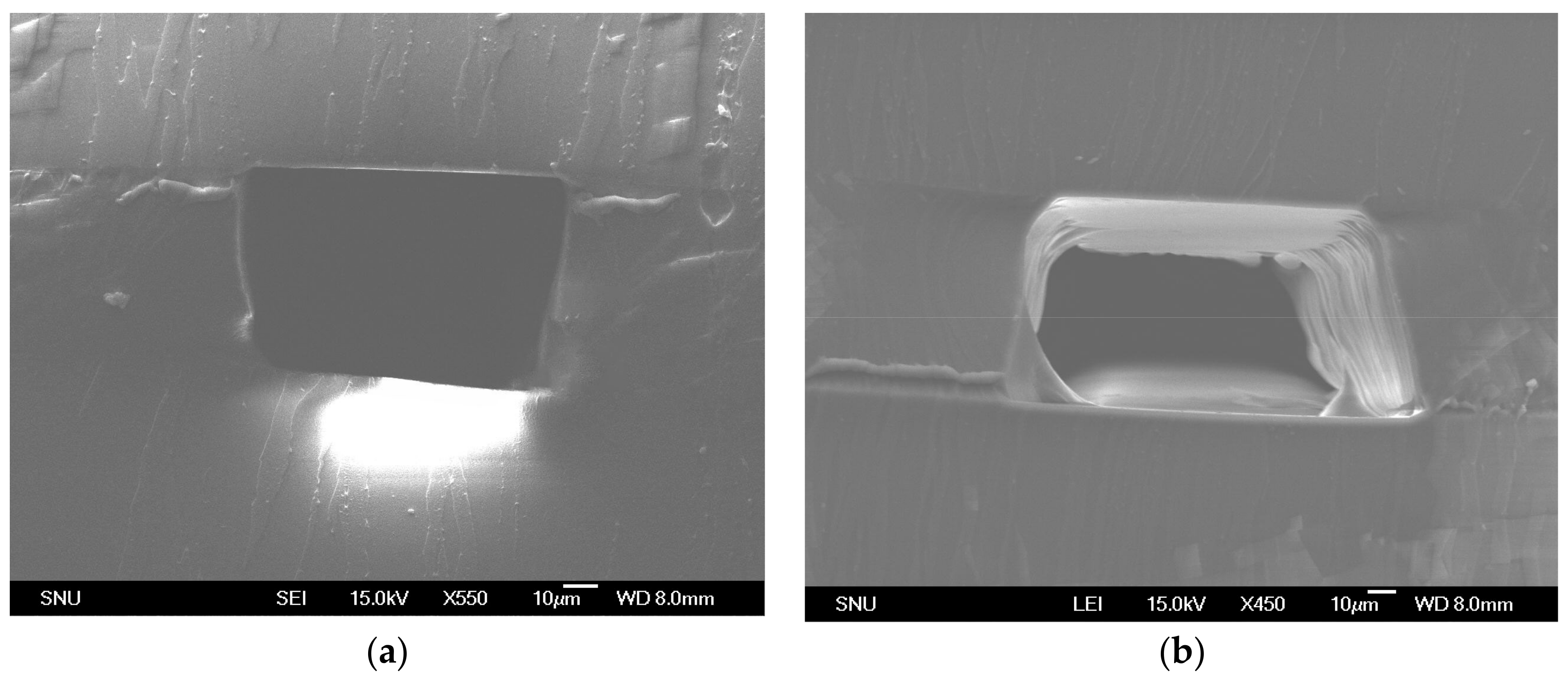 Micromachines 09 00358 g007
