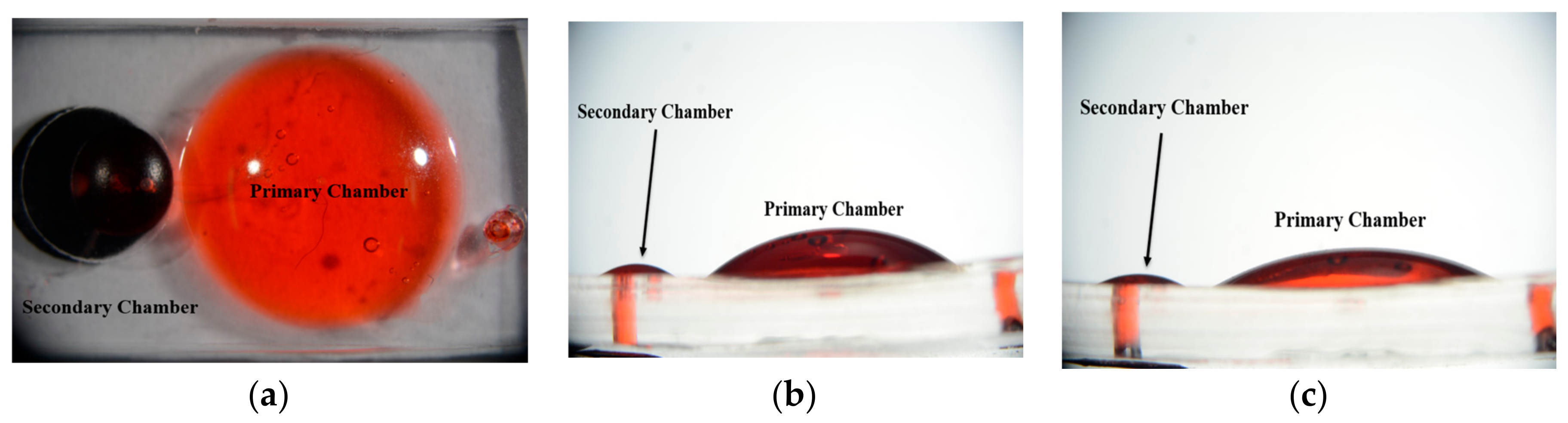 Micromachines 09 00358 g010