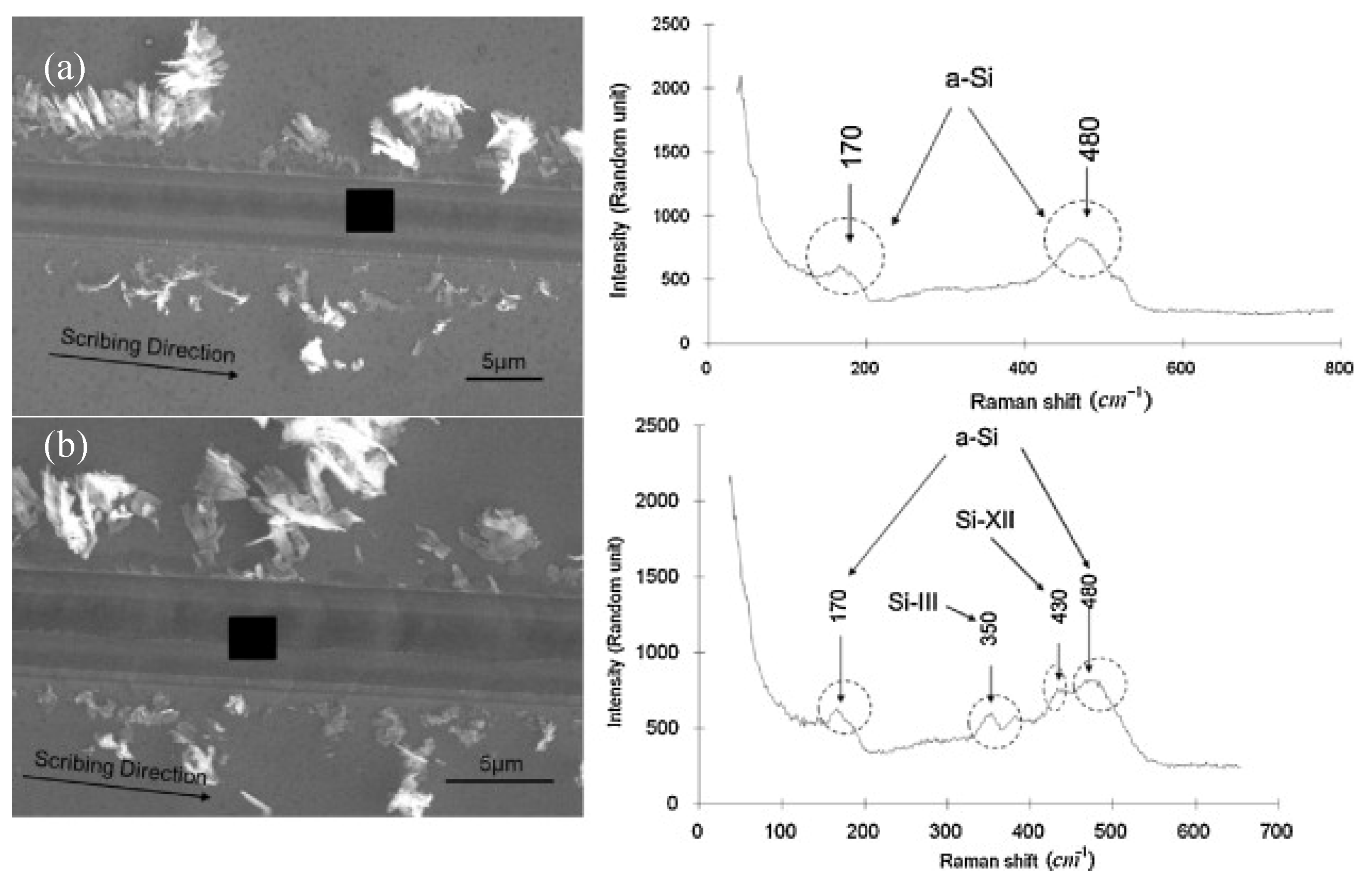 Micromachines 09 00361 g011